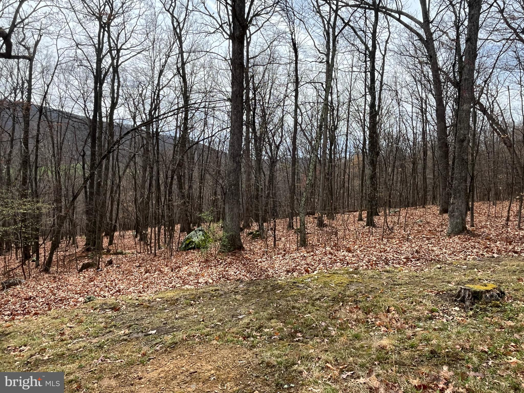 PEACEFUL VALLEY ESTATES - Residential