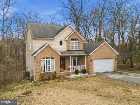 1132 CENTENNIAL DRIVE FORT WASHINGTON MD 20744