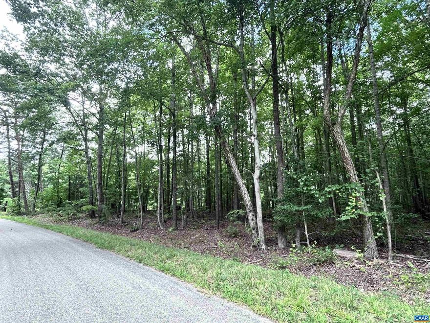 Country roads bring you home!!! Bring your vision and your builder!!! This is a extremely private and level 15.53 acre tract in Blackstone. The lot features roughly 150' of road frontage and offers an excellent opportunity for a private homestead retreat. A must see. All trees remain intact.