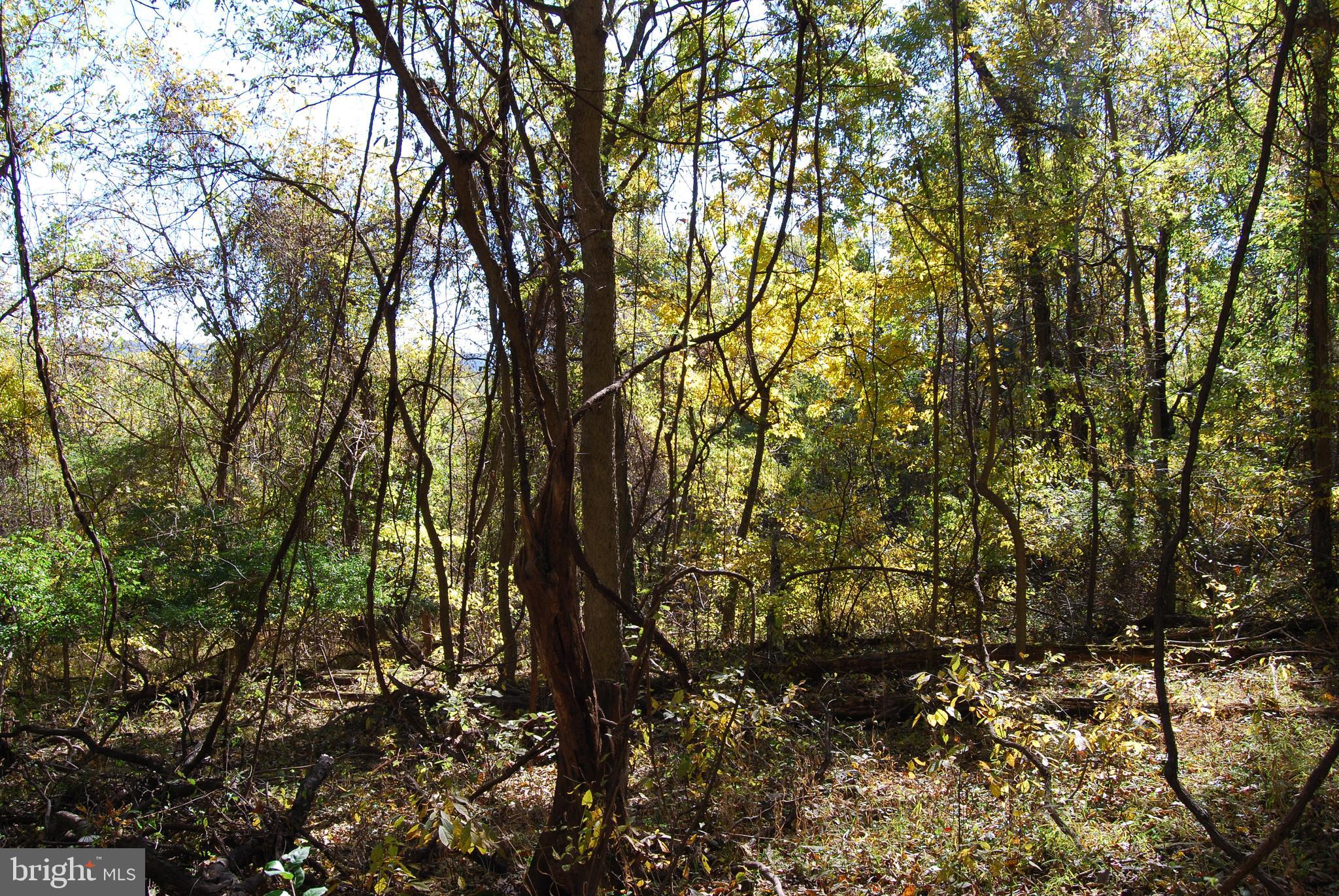 GRANDVIEW ESTATES - Land