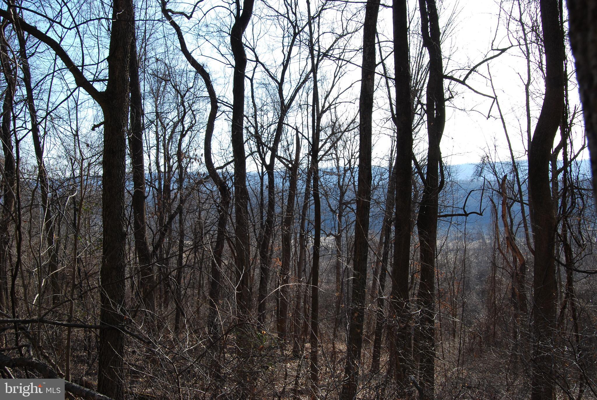 GRANDVIEW ESTATES - Land