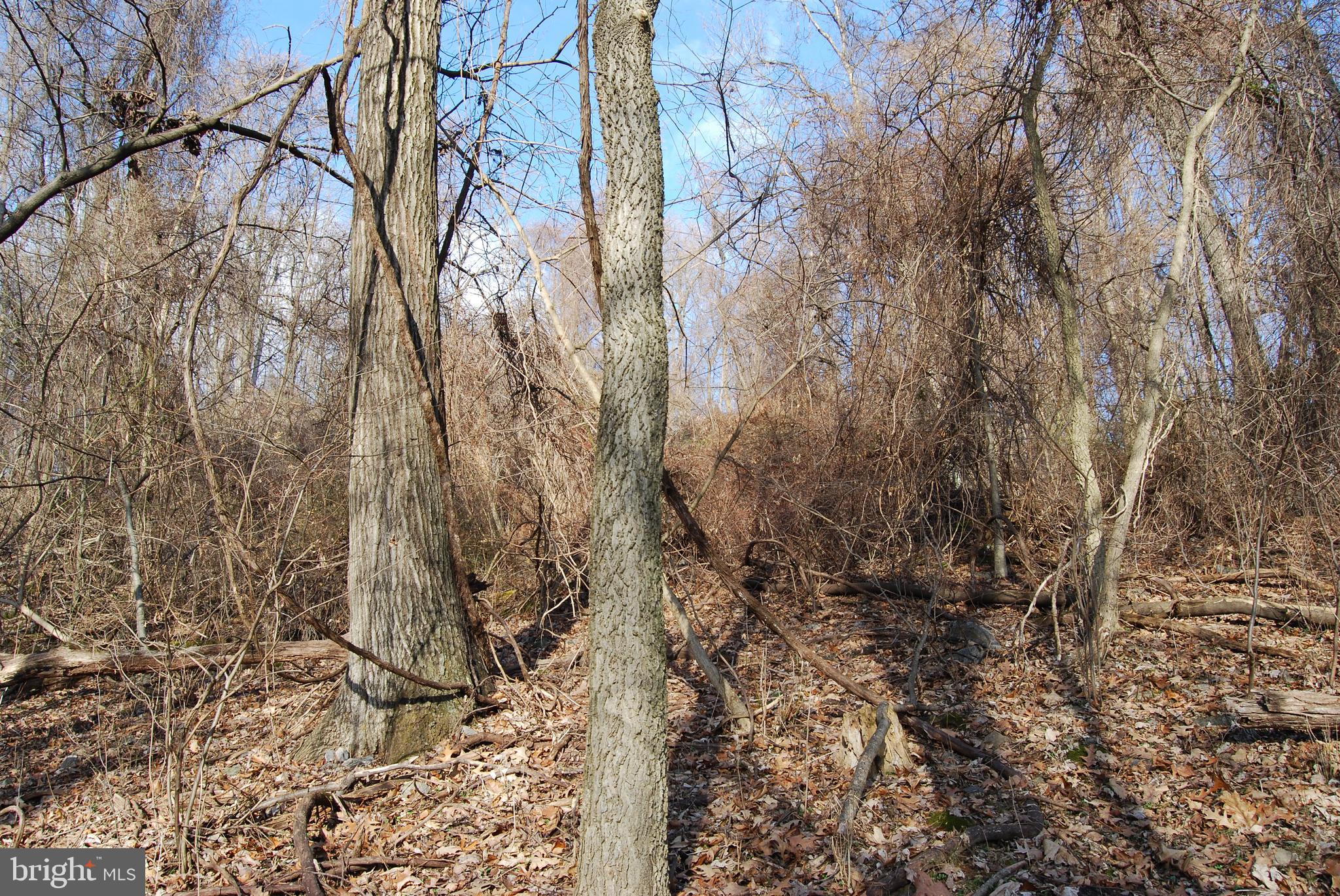 GRANDVIEW ESTATES - Land