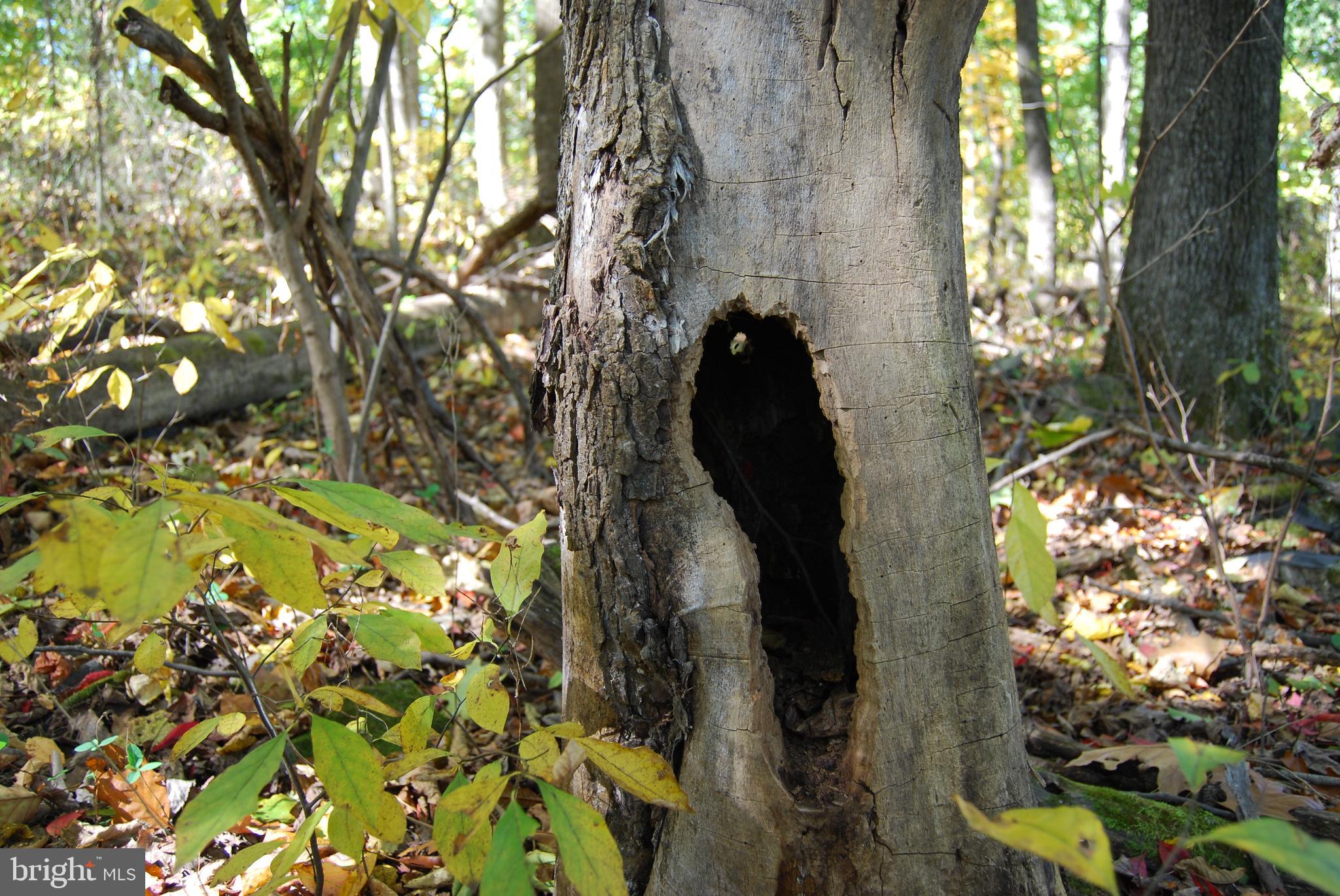 GRANDVIEW ESTATES - Land