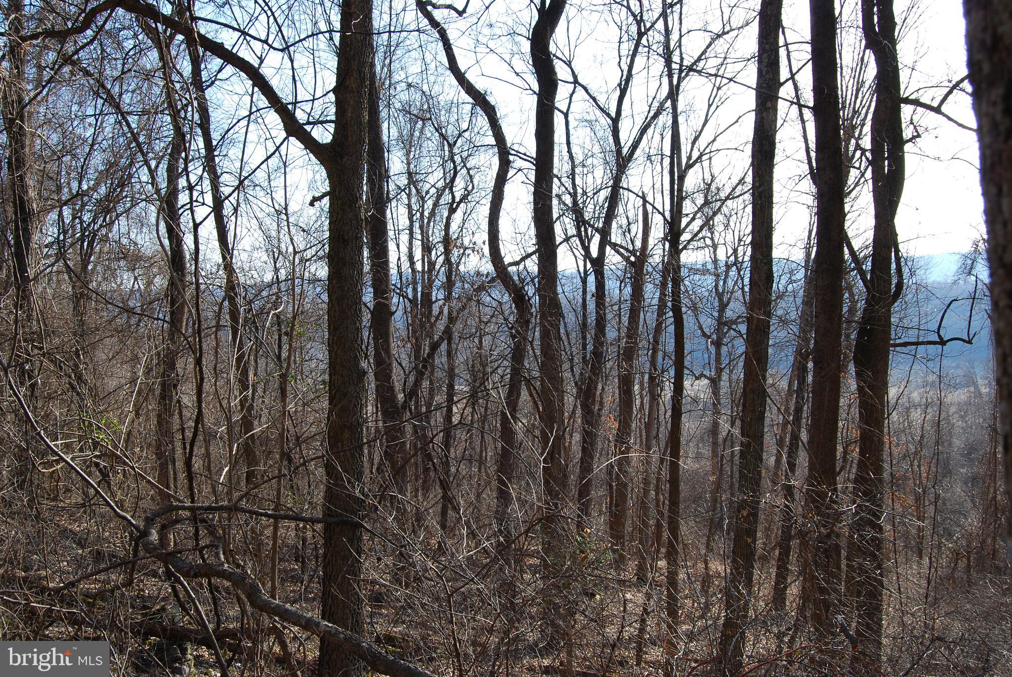 GRANDVIEW ESTATES - Land