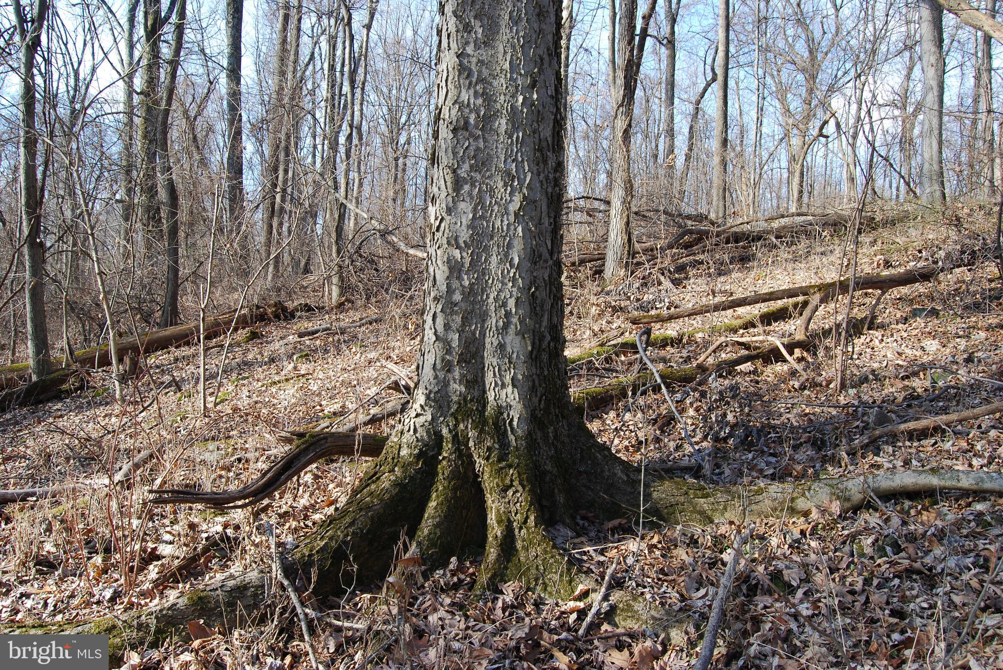 GRANDVIEW ESTATES - Land