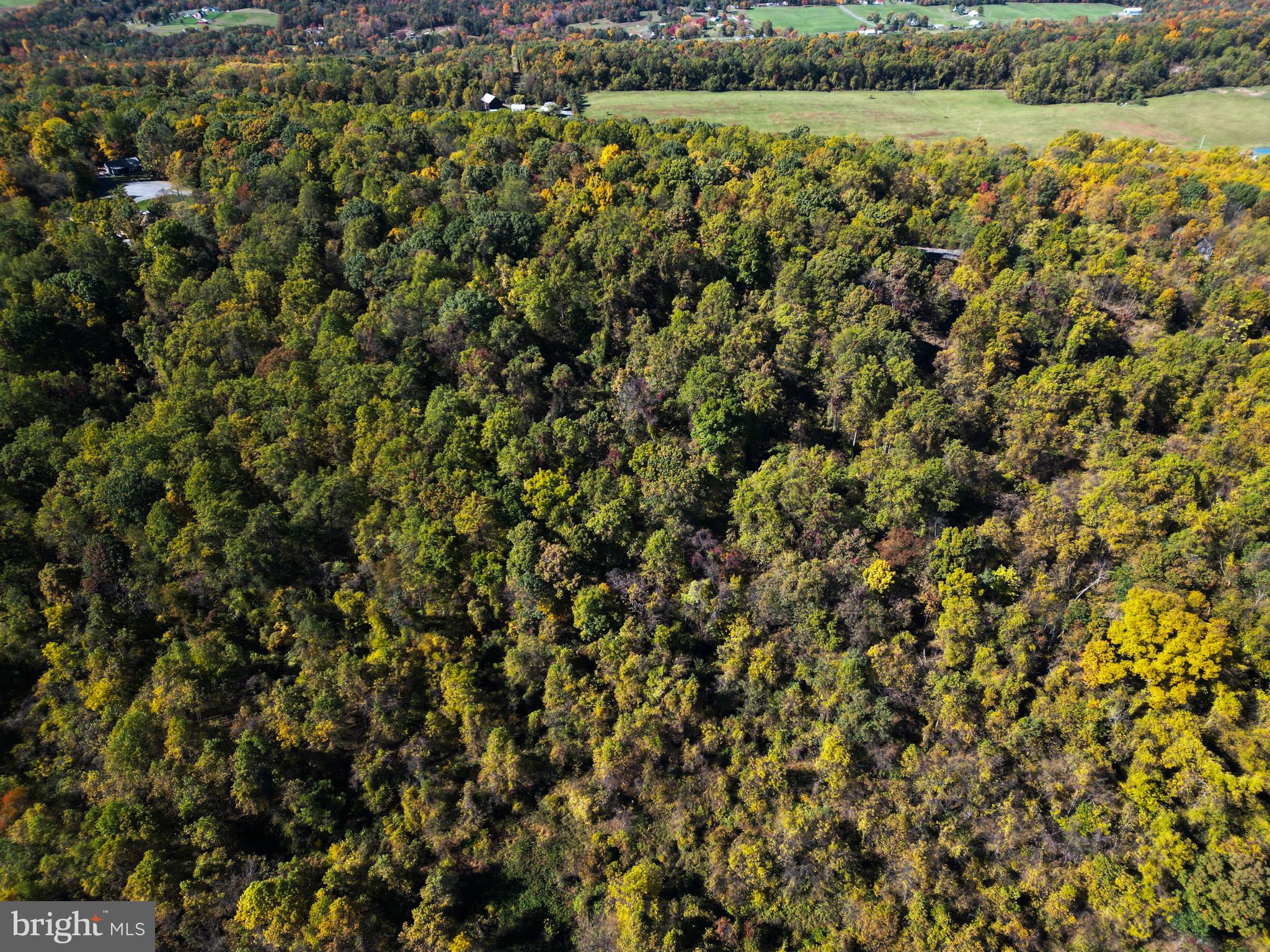 GRANDVIEW ESTATES - Land