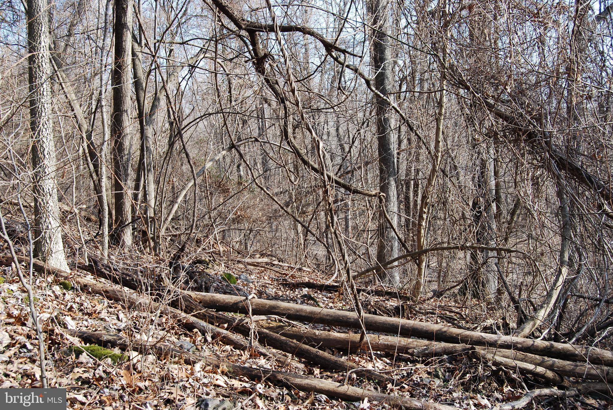 GRANDVIEW ESTATES - Land