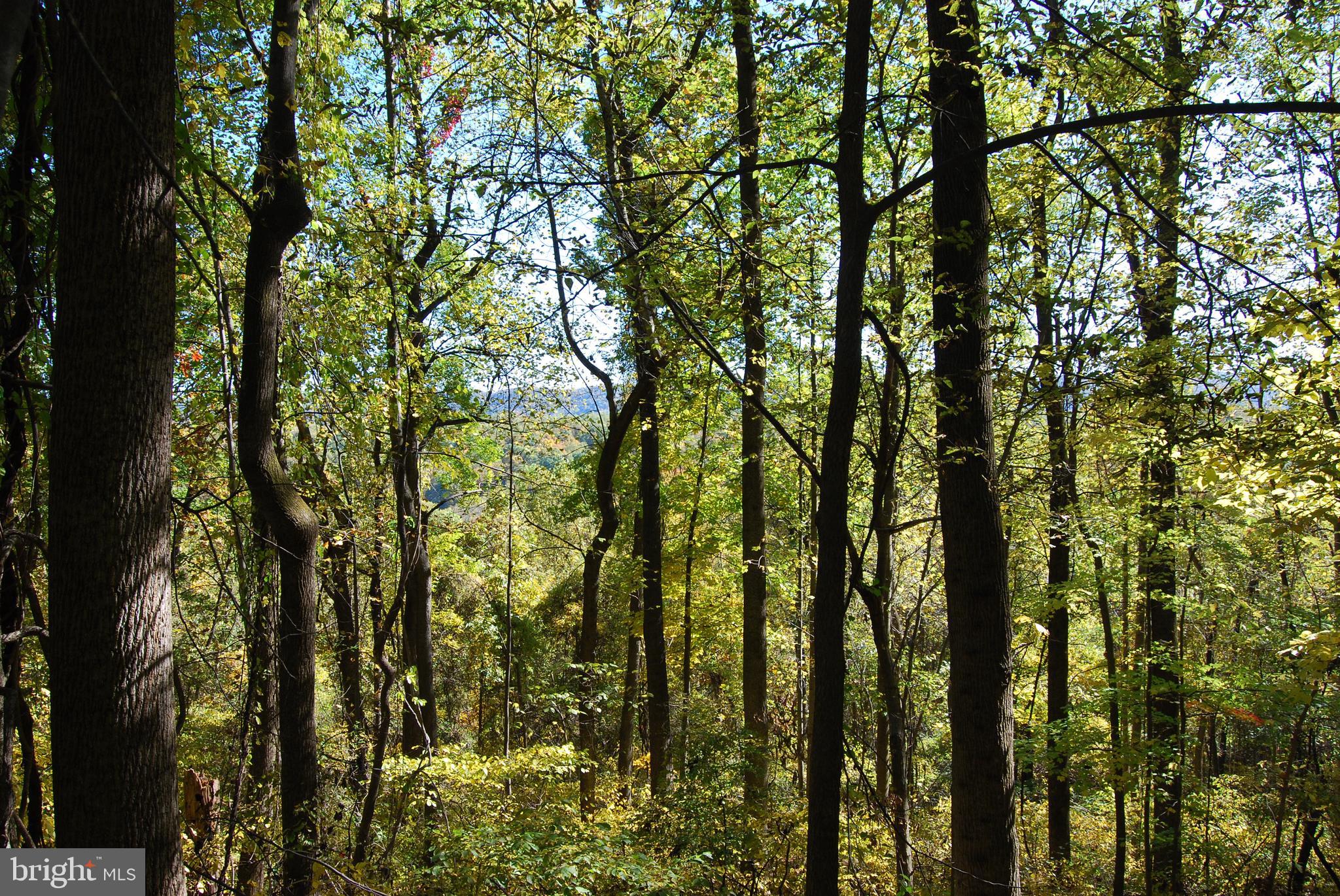 GRANDVIEW ESTATES - Land