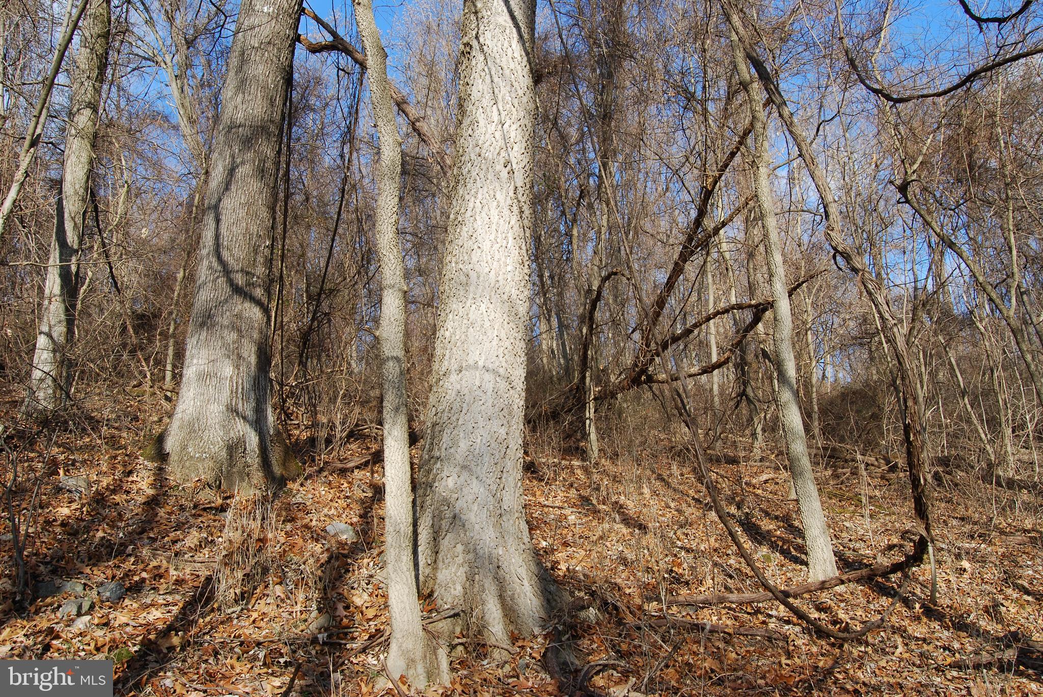 GRANDVIEW ESTATES - Land