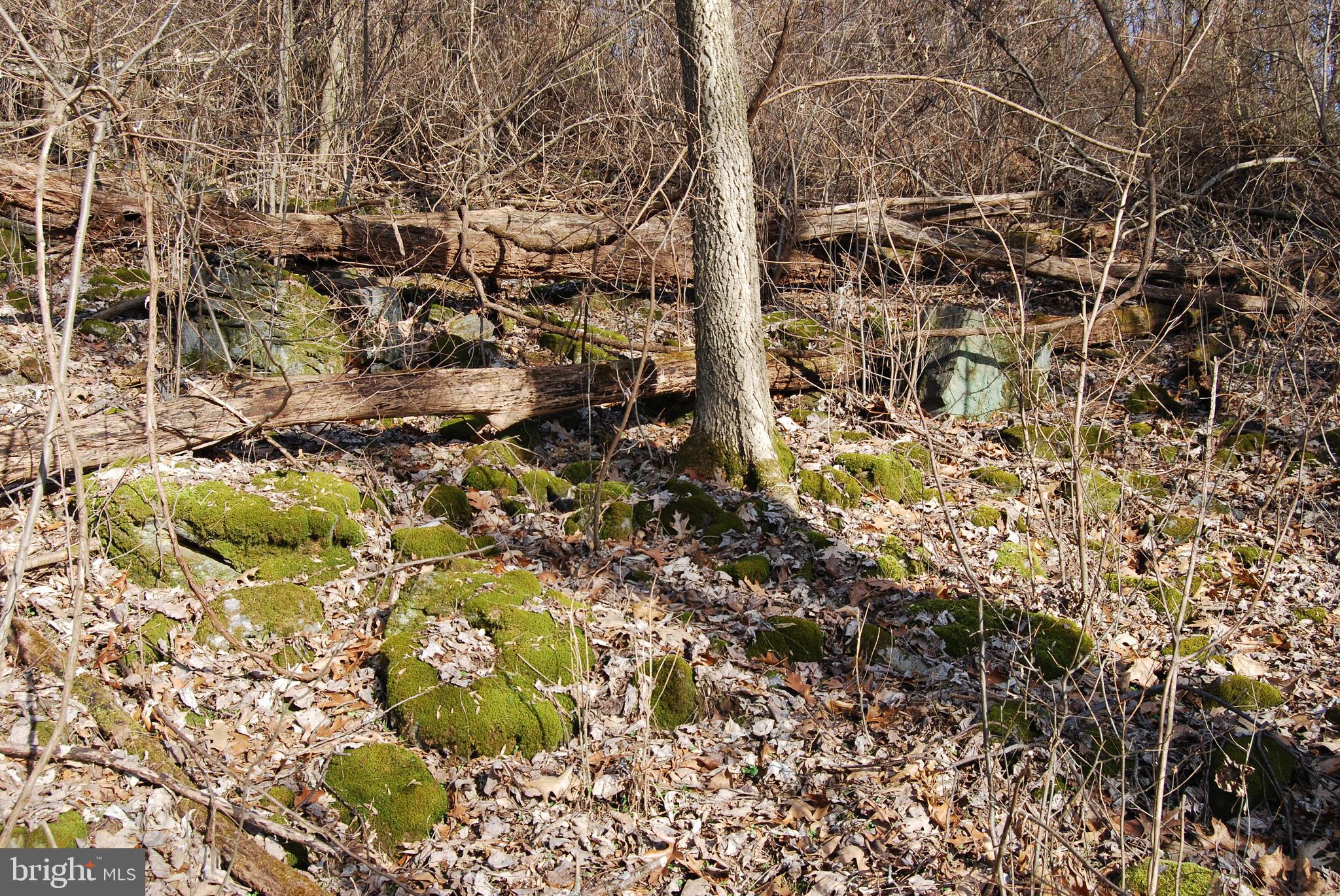 GRANDVIEW ESTATES - Land