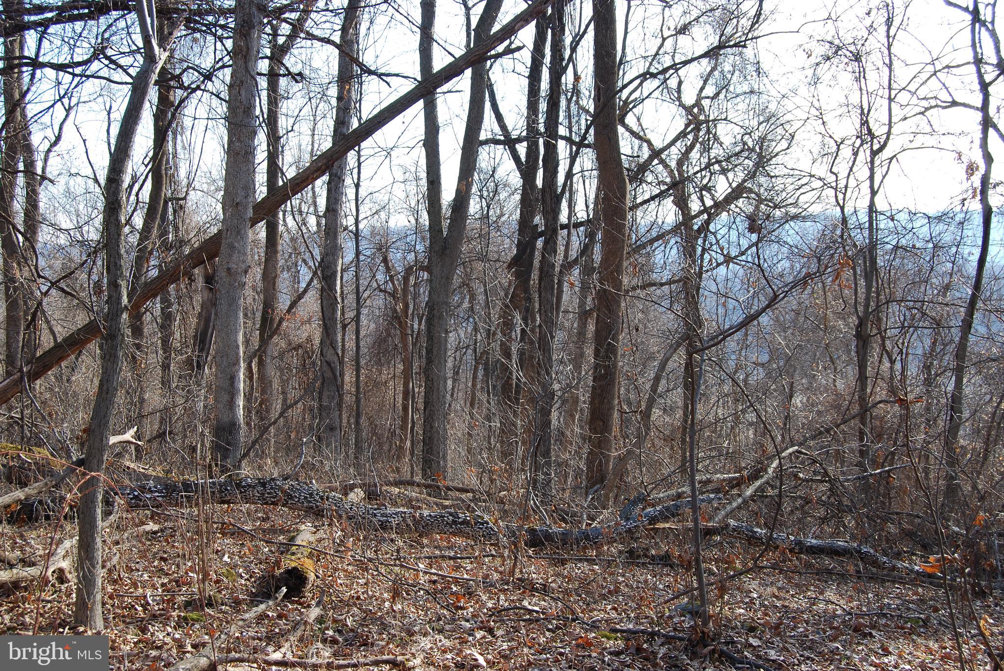 GRANDVIEW ESTATES - Land