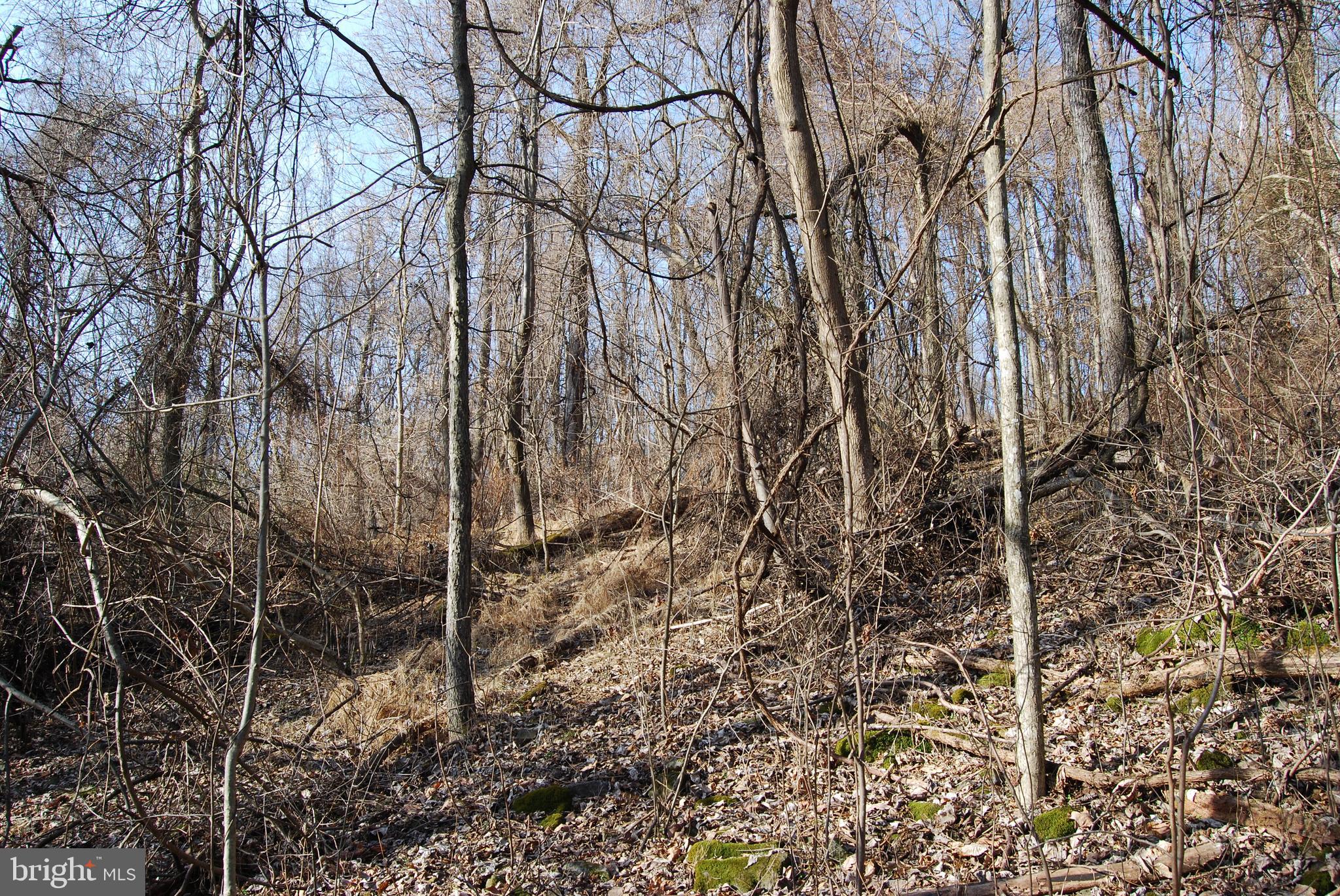 GRANDVIEW ESTATES - Land