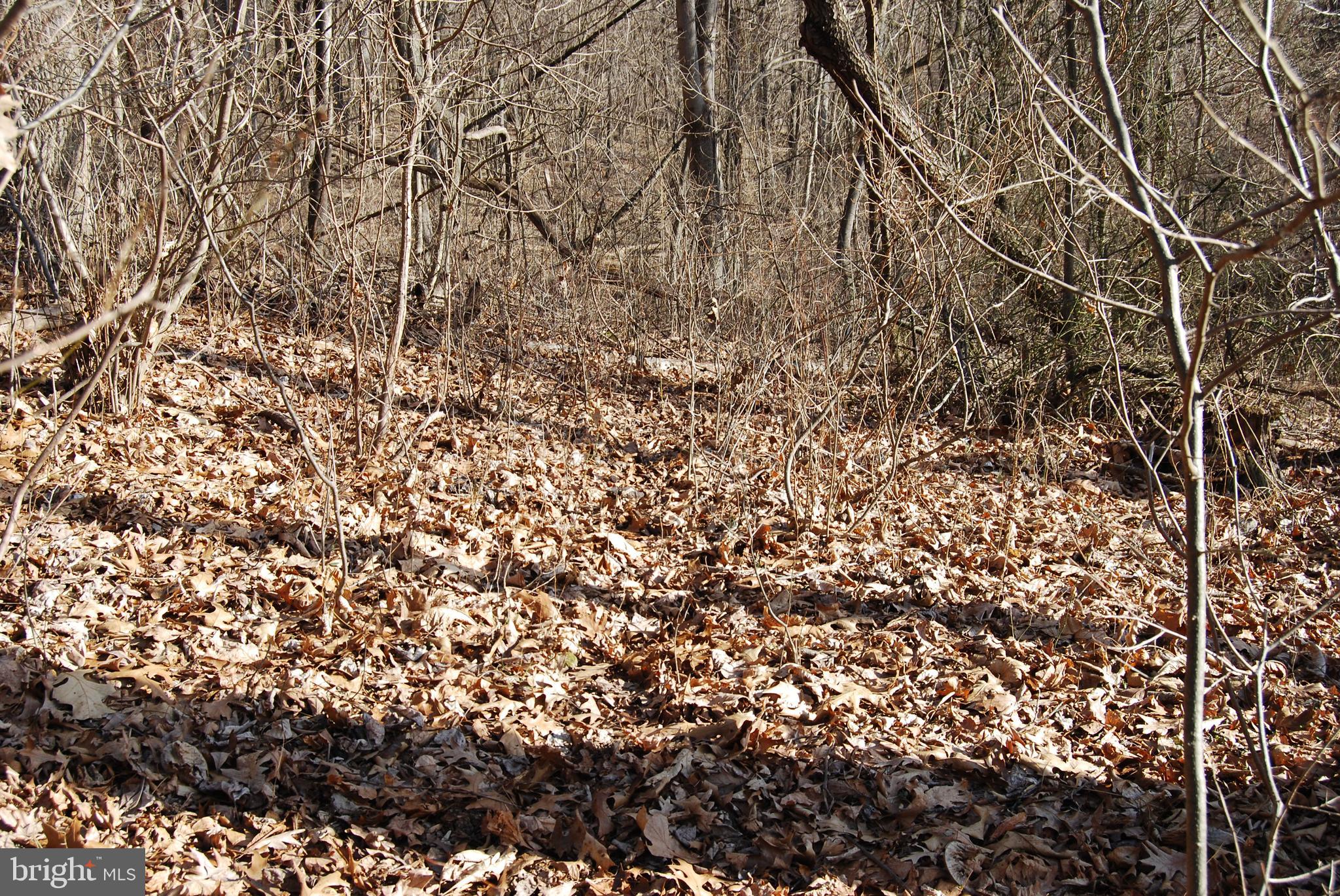 GRANDVIEW ESTATES - Land