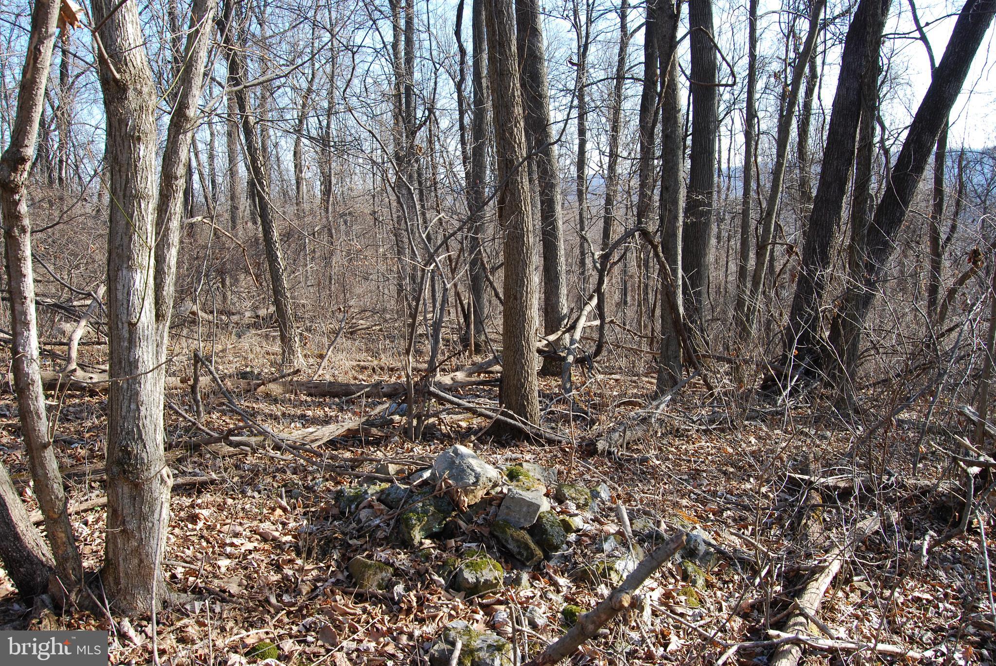 GRANDVIEW ESTATES - Land