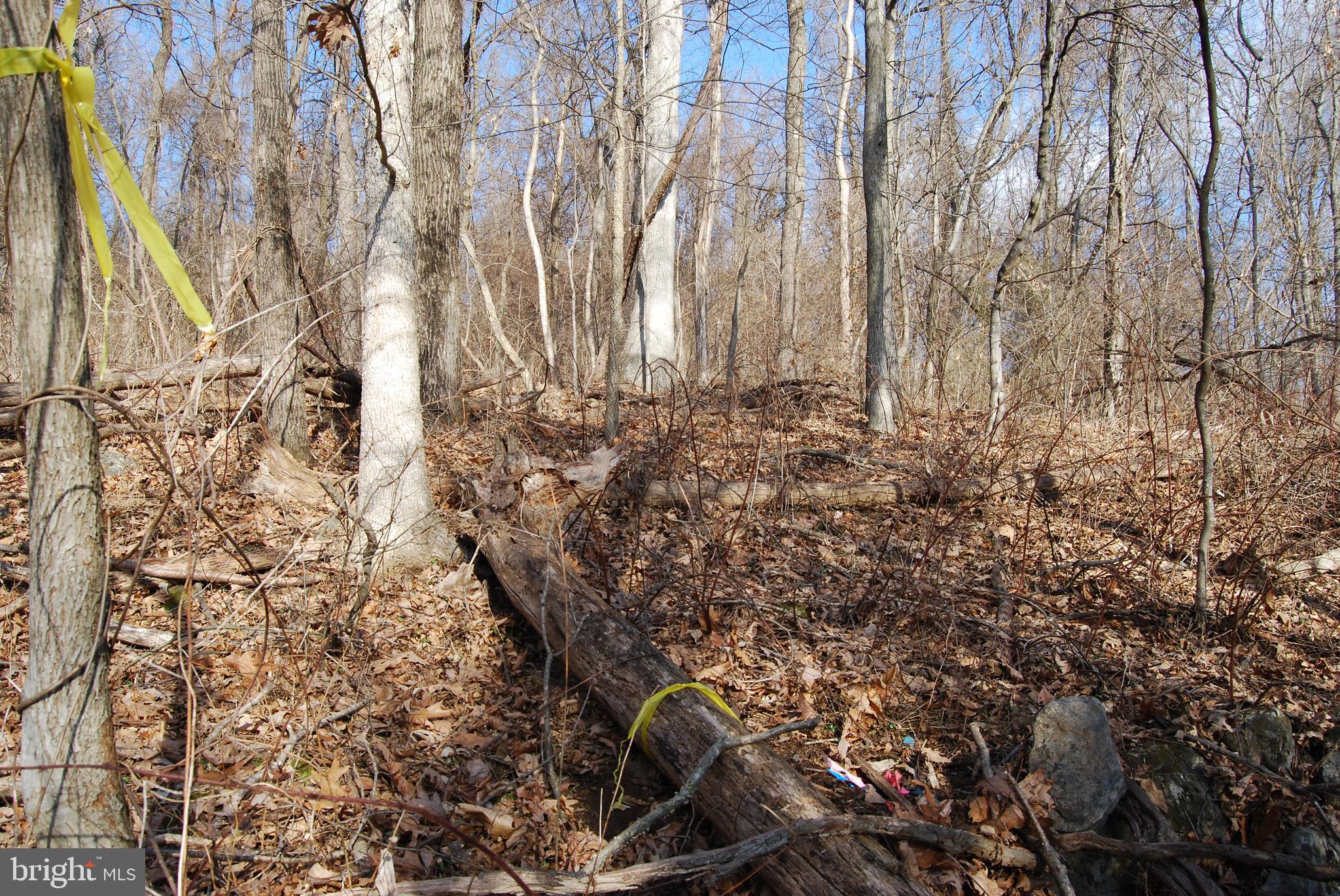 GRANDVIEW ESTATES - Land