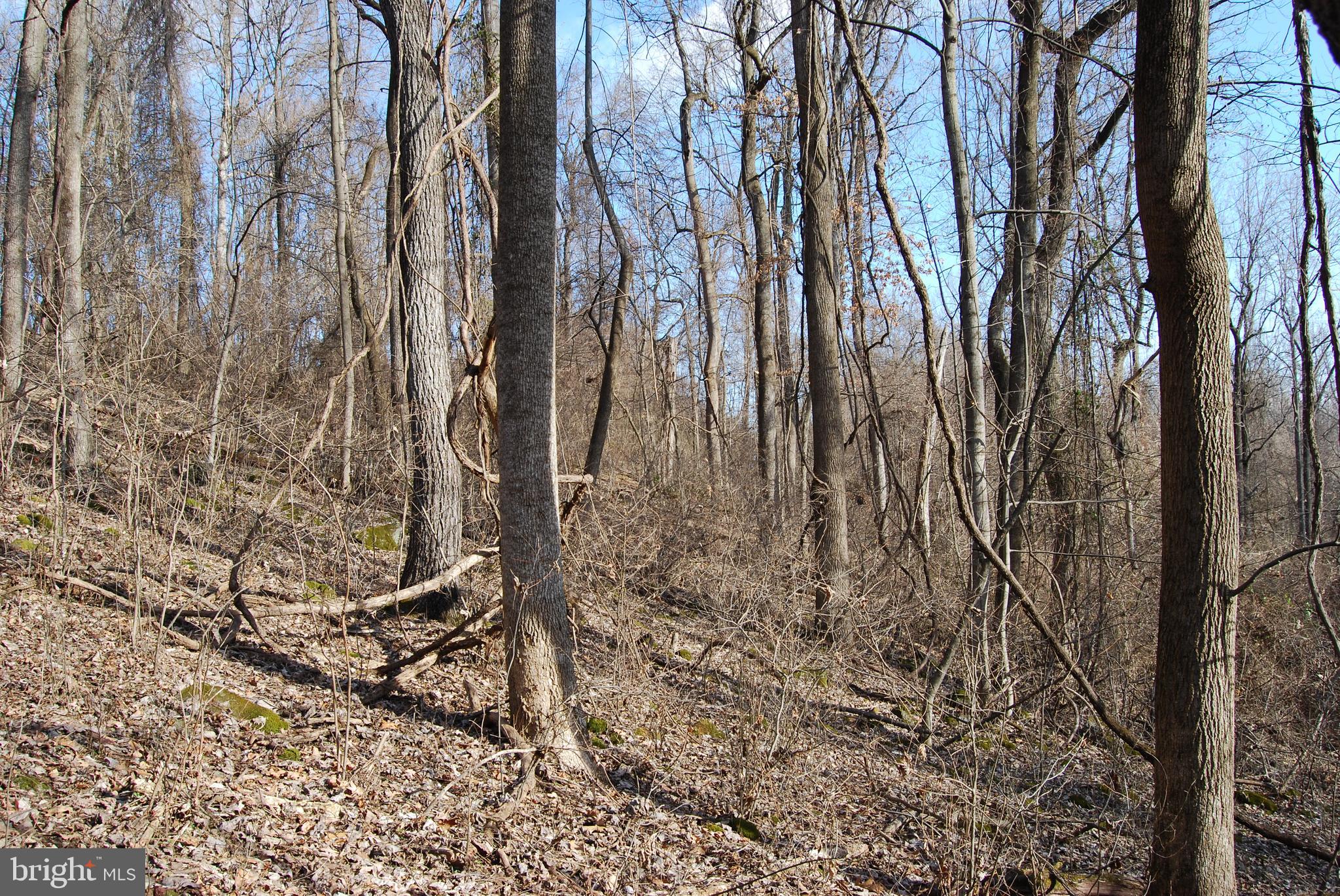 GRANDVIEW ESTATES - Land