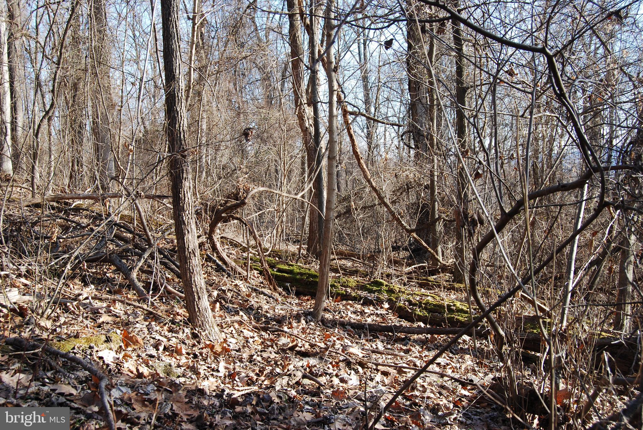 GRANDVIEW ESTATES - Land