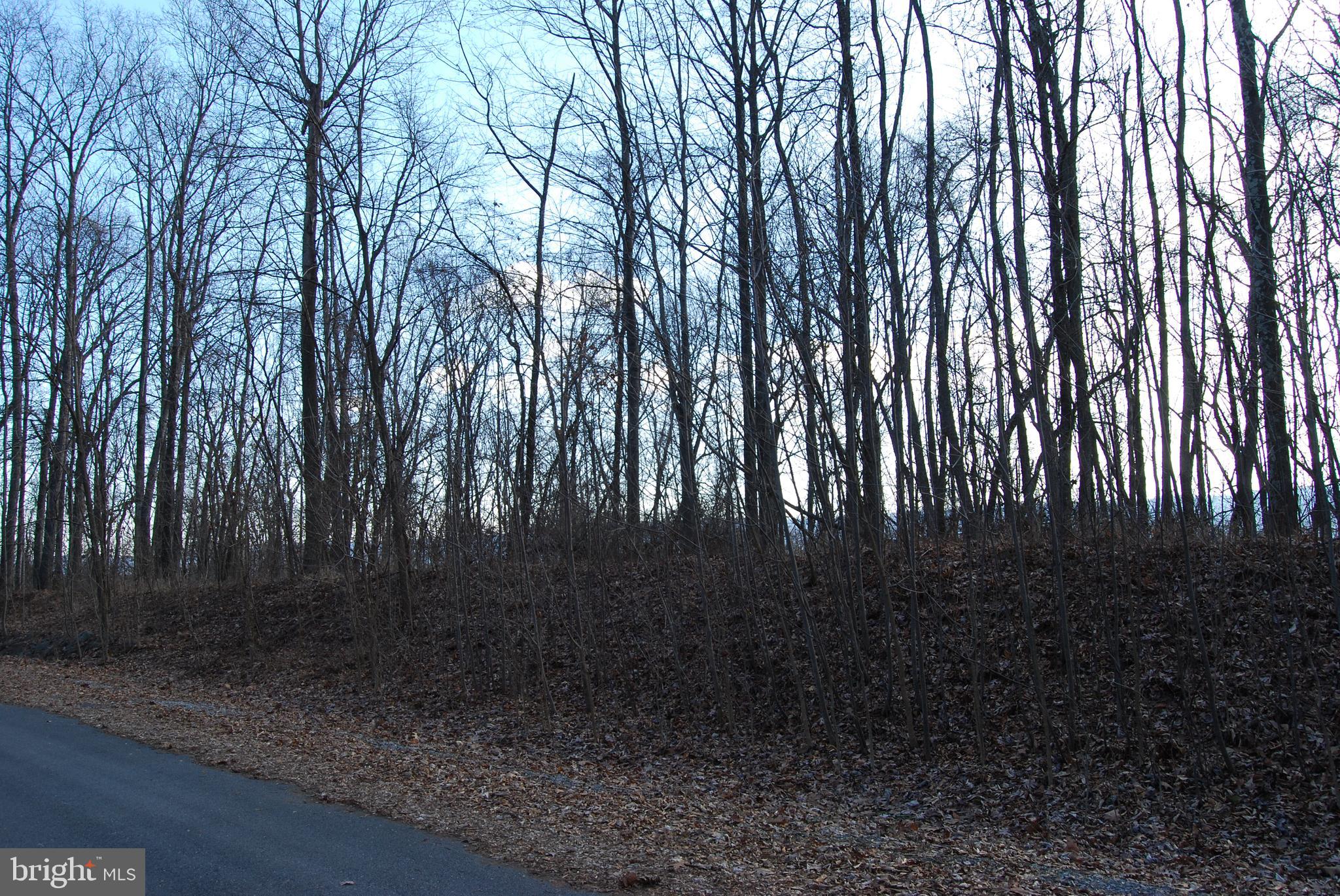 GRANDVIEW ESTATES - Land