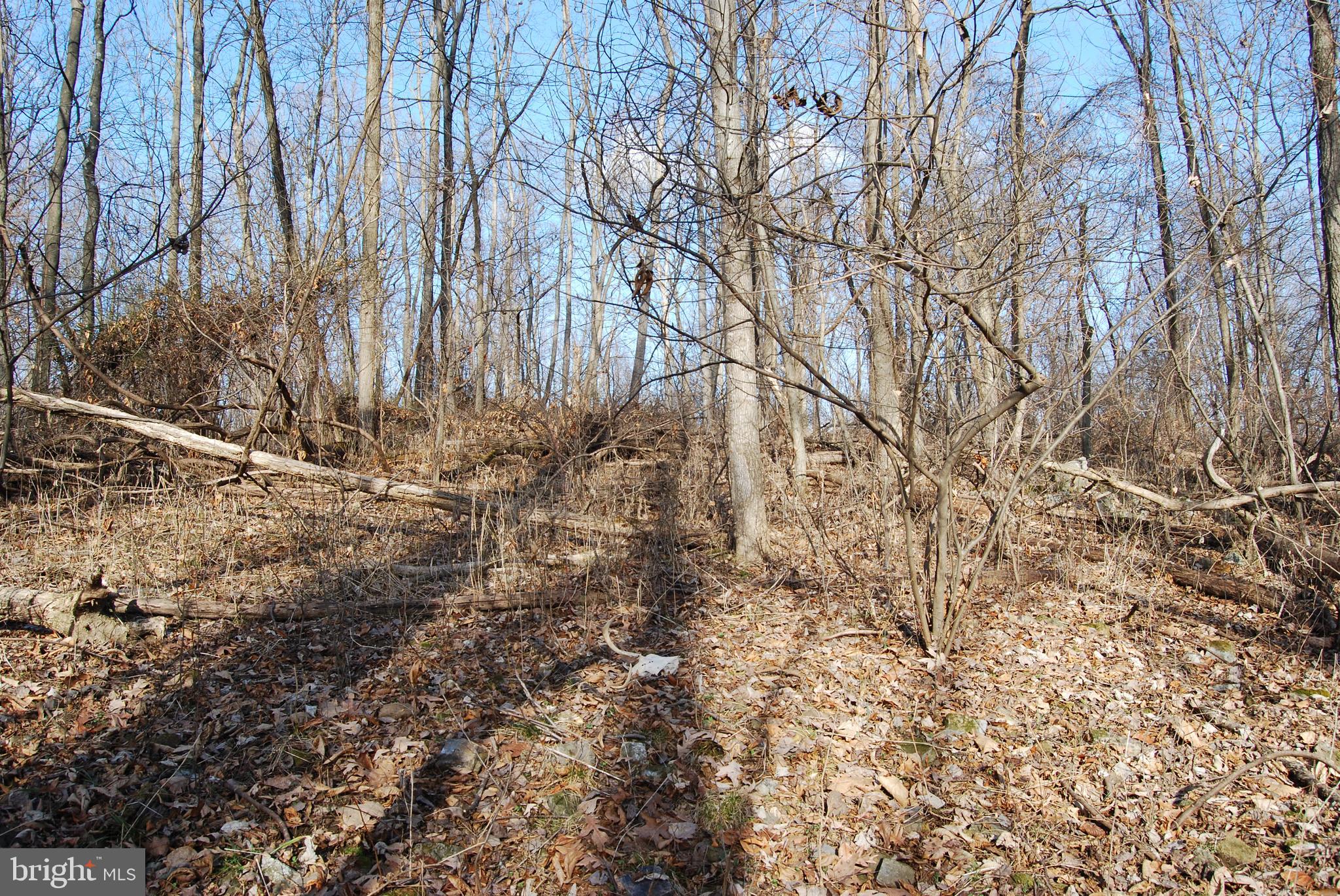 GRANDVIEW ESTATES - Land