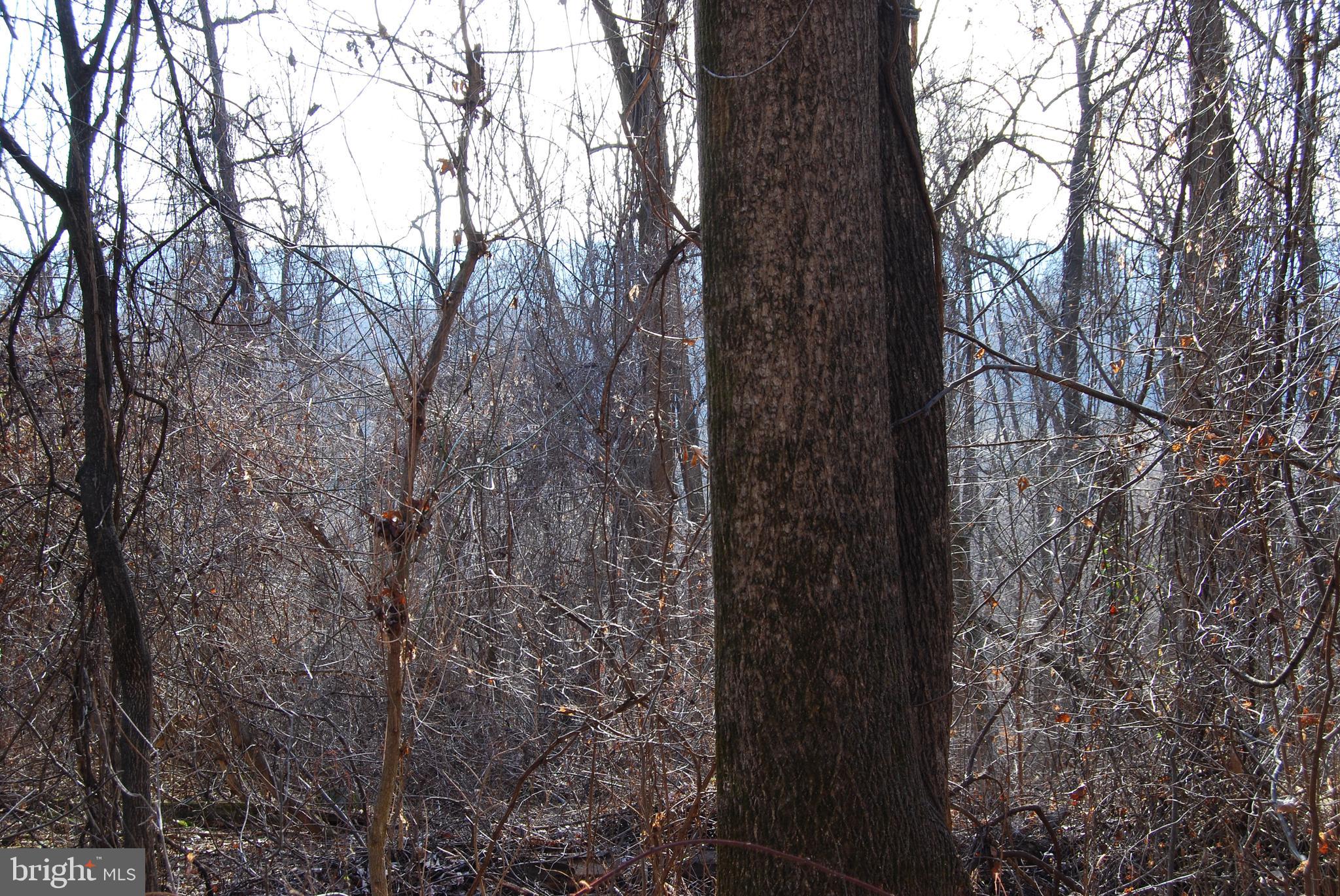 GRANDVIEW ESTATES - Land