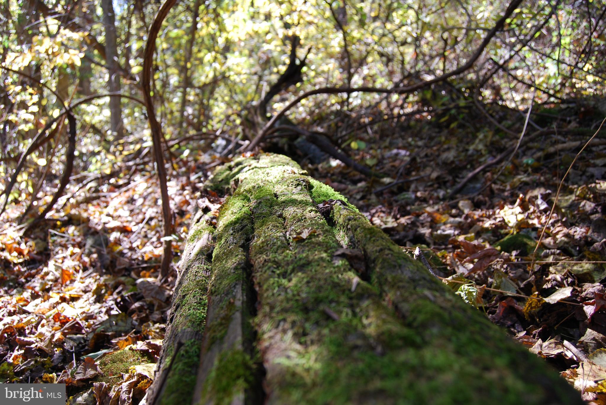 GRANDVIEW ESTATES - Land