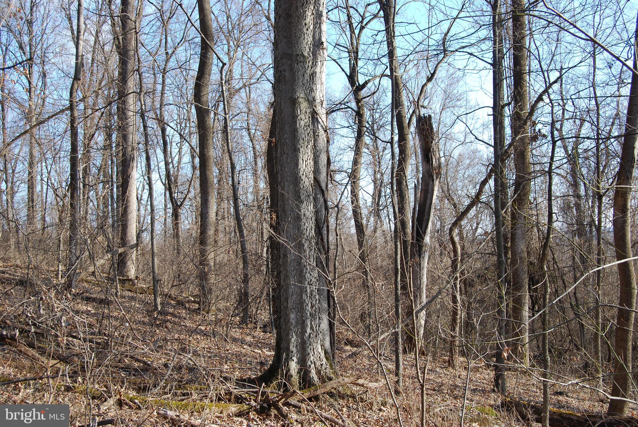 GRANDVIEW ESTATES - Land