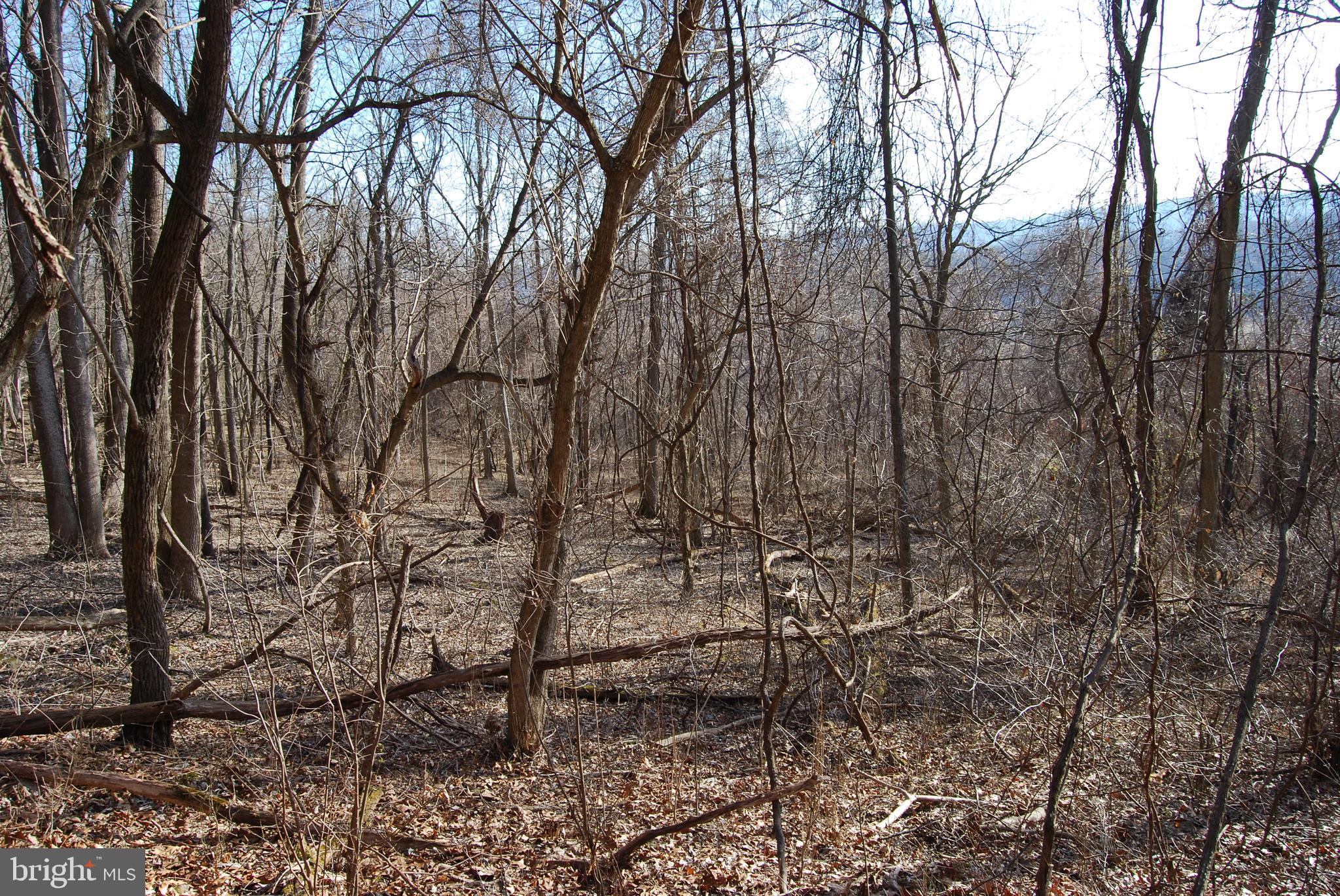 GRANDVIEW ESTATES - Land