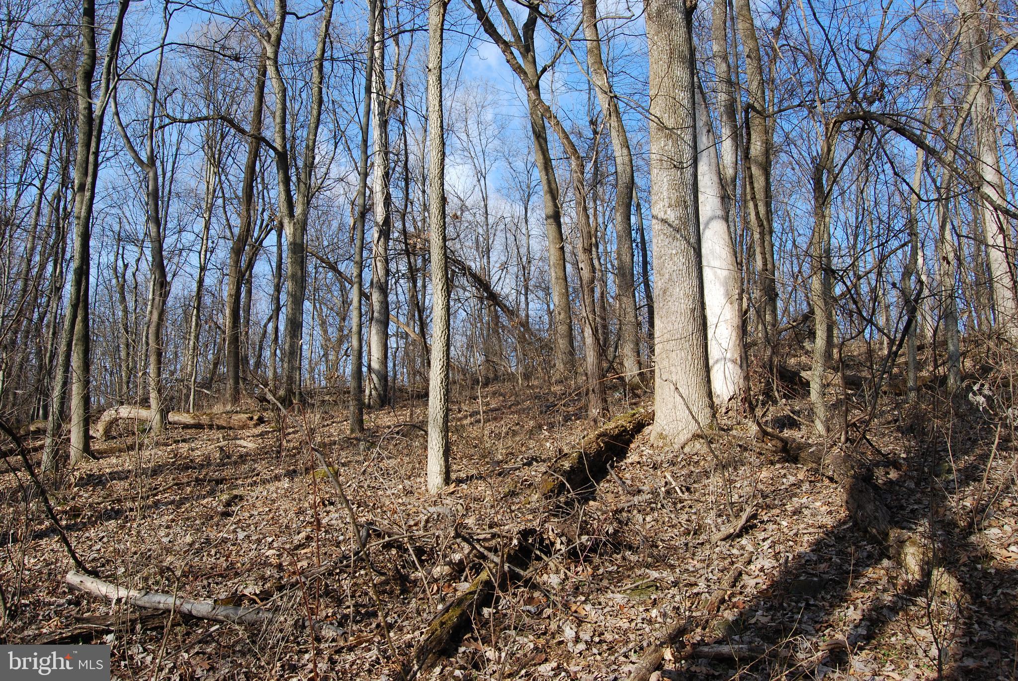 GRANDVIEW ESTATES - Land