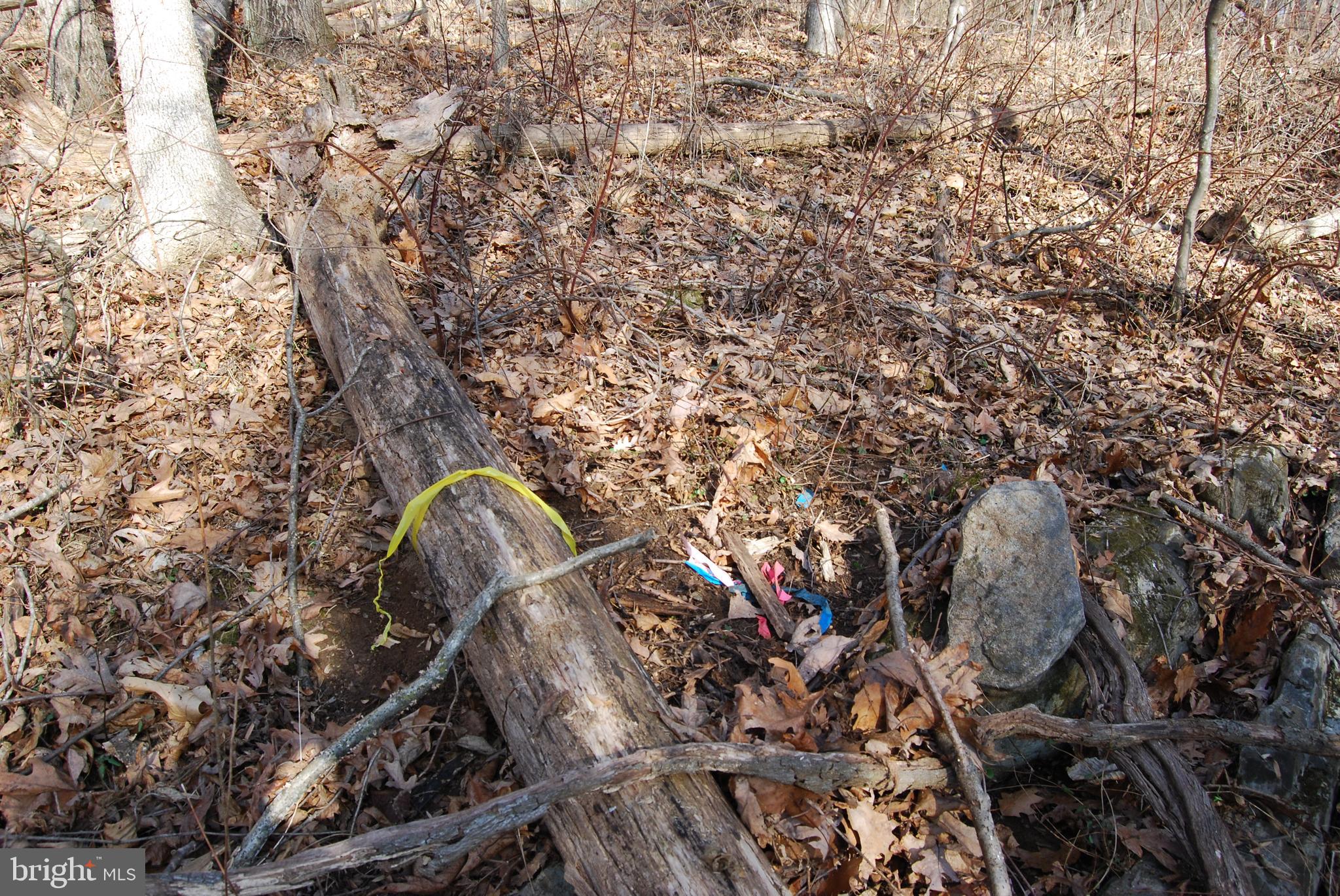 GRANDVIEW ESTATES - Land