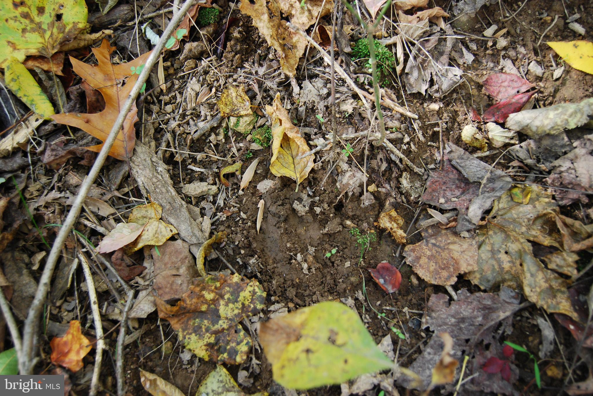 GRANDVIEW ESTATES - Land