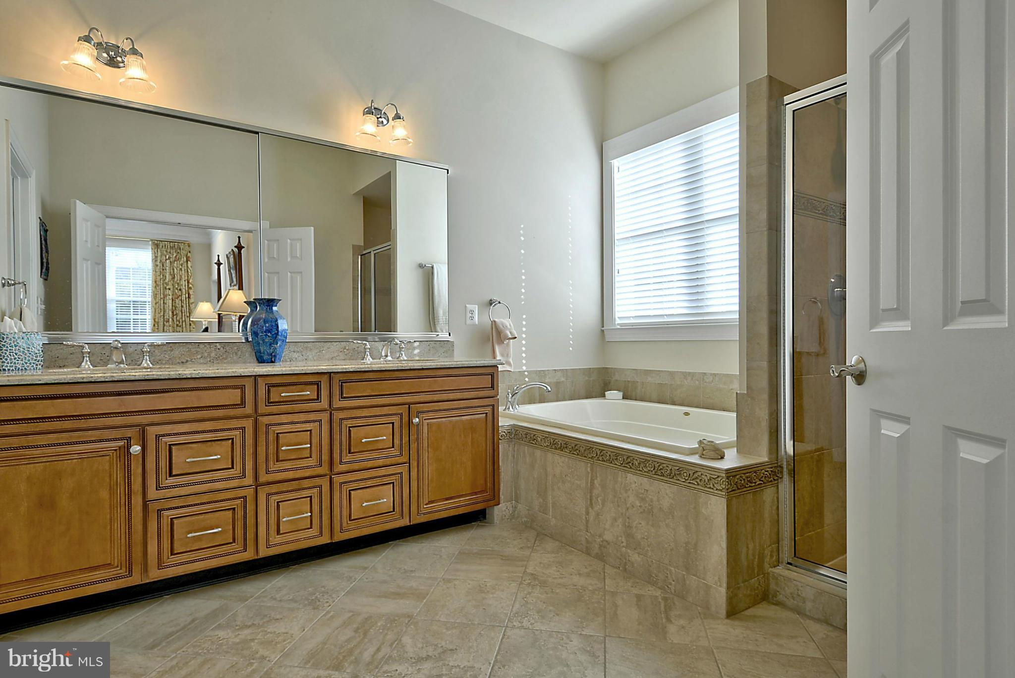 REGENCY AT DOMINION VALLEY - Residential