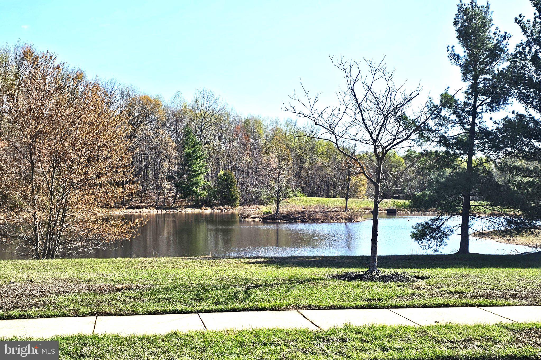 SHAGBARK LANE