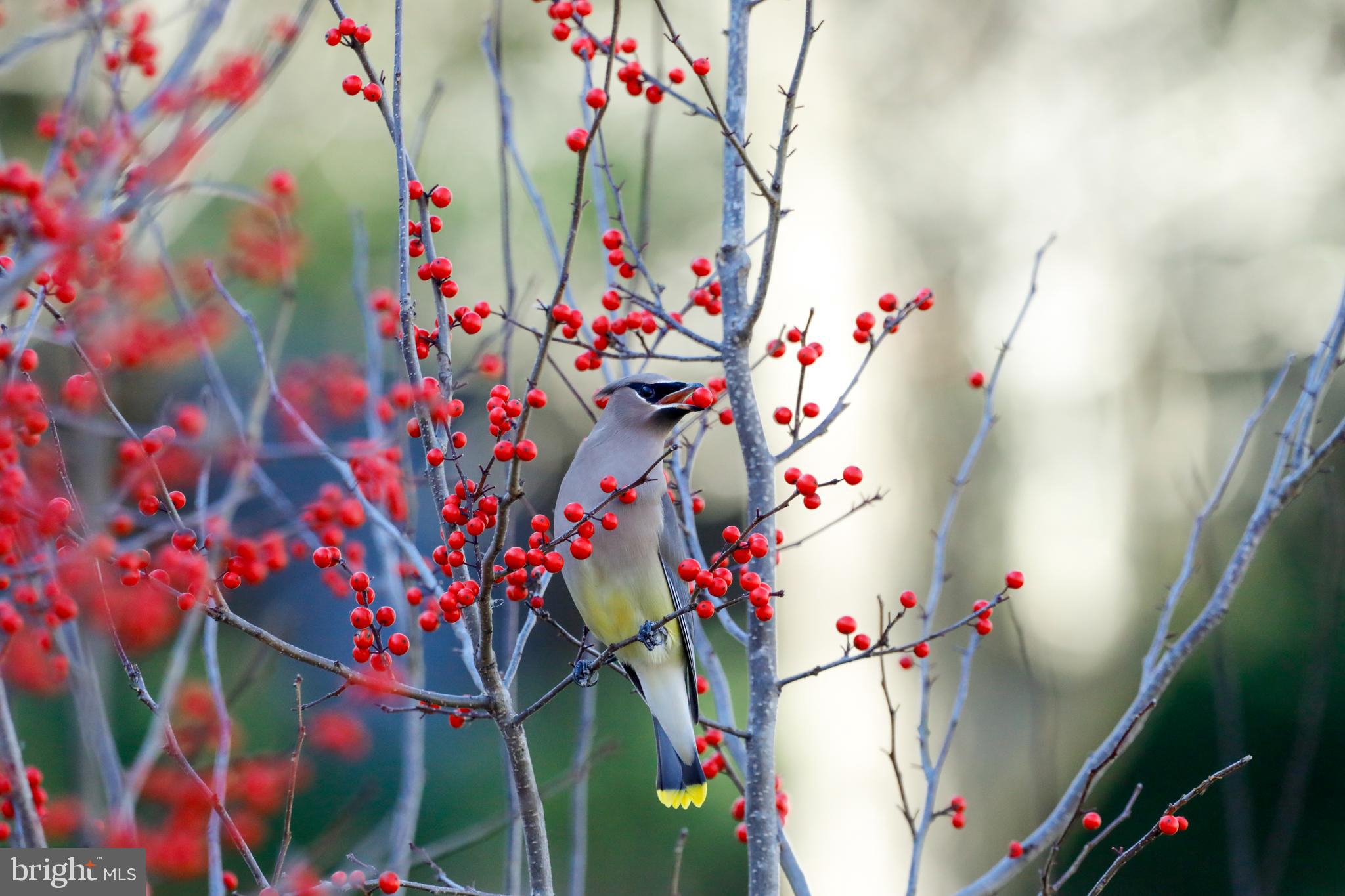 FRANKLIN FARM - Residential