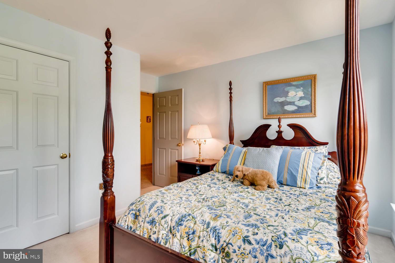 PLACID WOODS - Residential