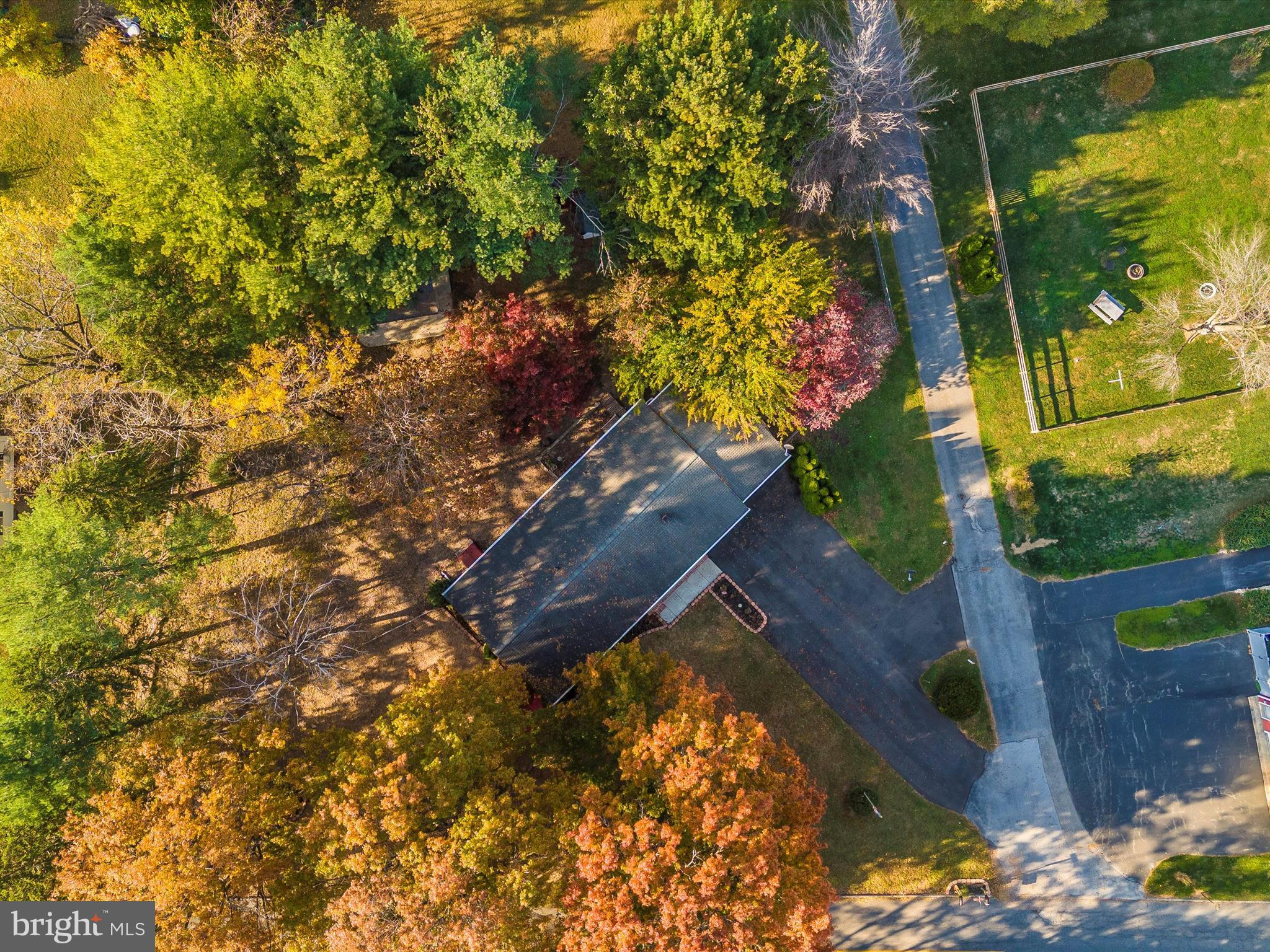 MAPLE RIDGE - Residential