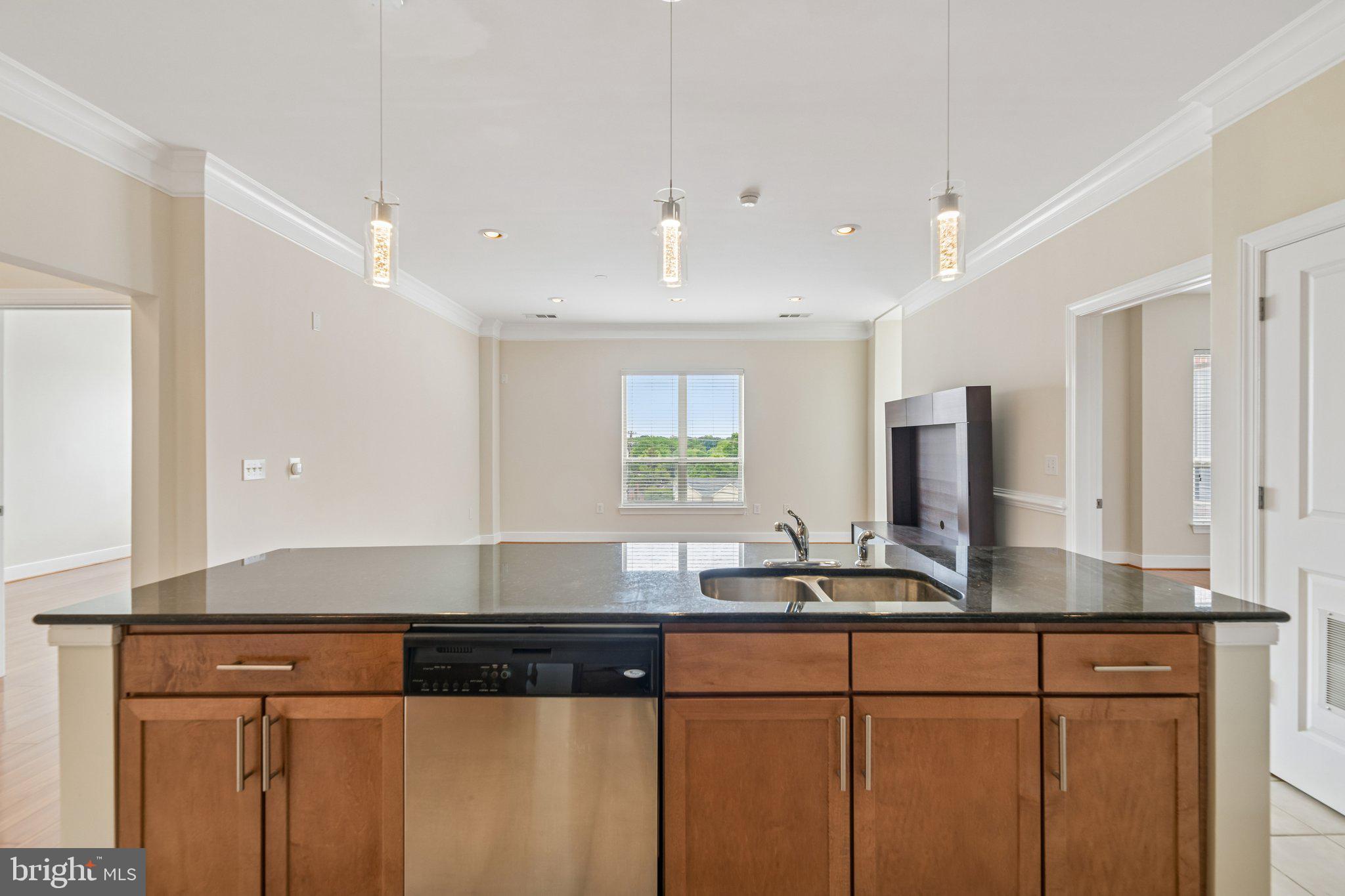 TRIBECA AT CAMP SPRINGS - Residential