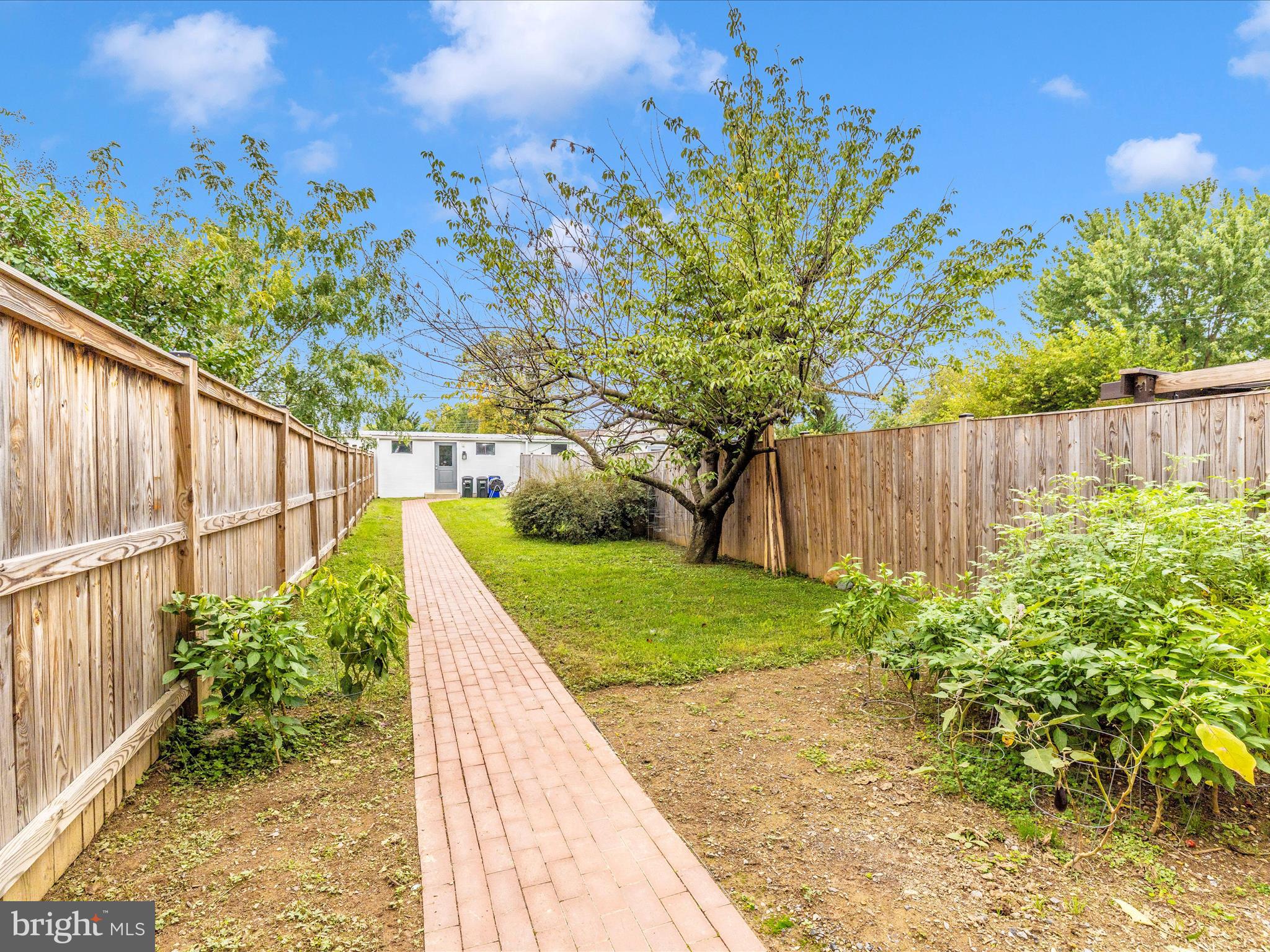 FREDERICK HISTORIC DISTRICT - Residential