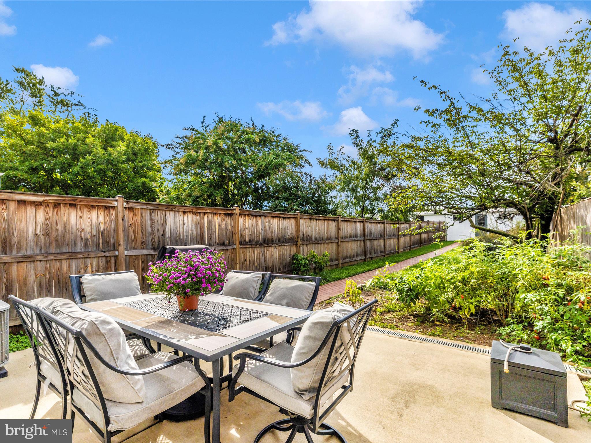 FREDERICK HISTORIC DISTRICT - Residential