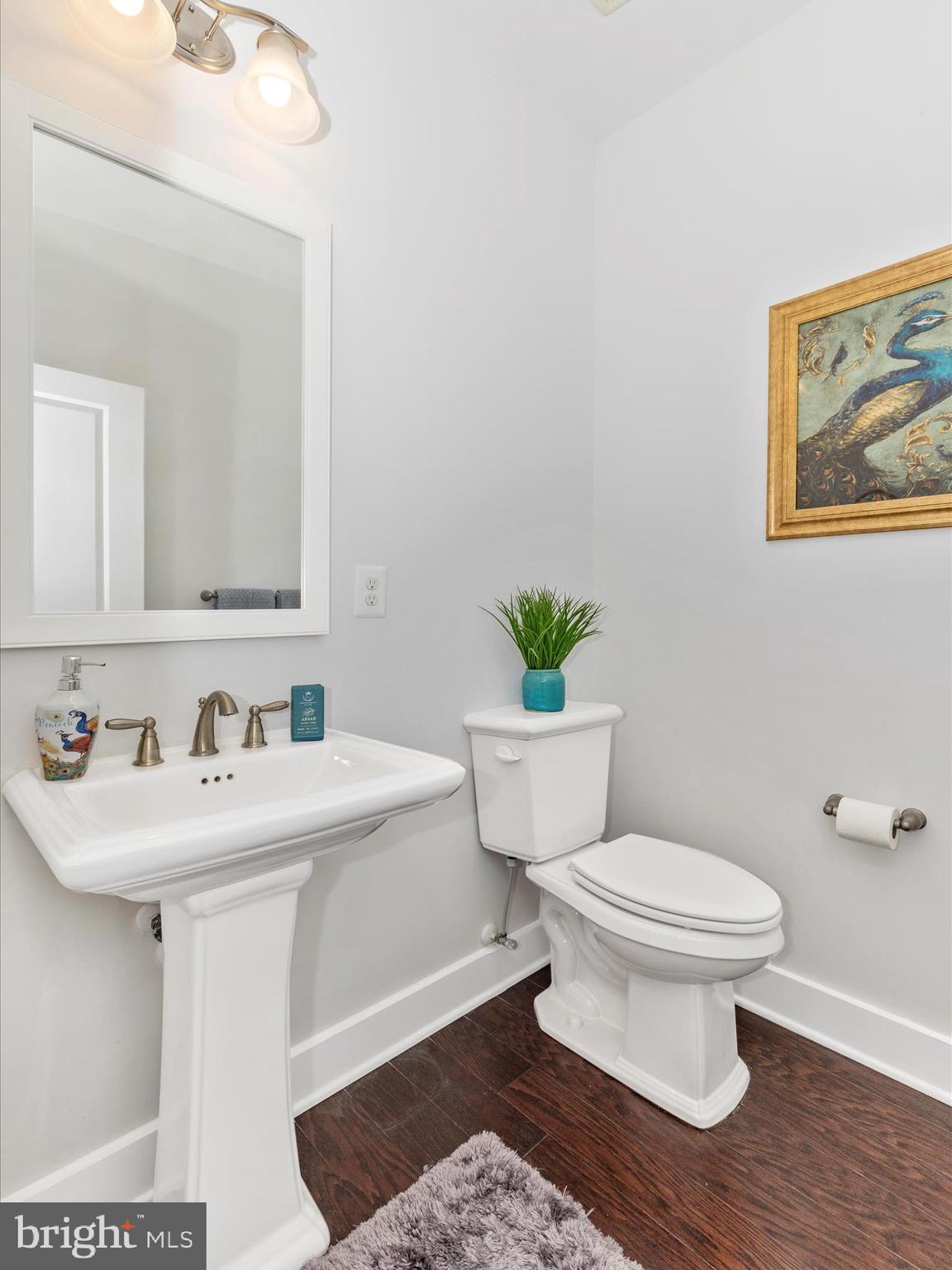 FREDERICK HISTORIC DISTRICT - Residential