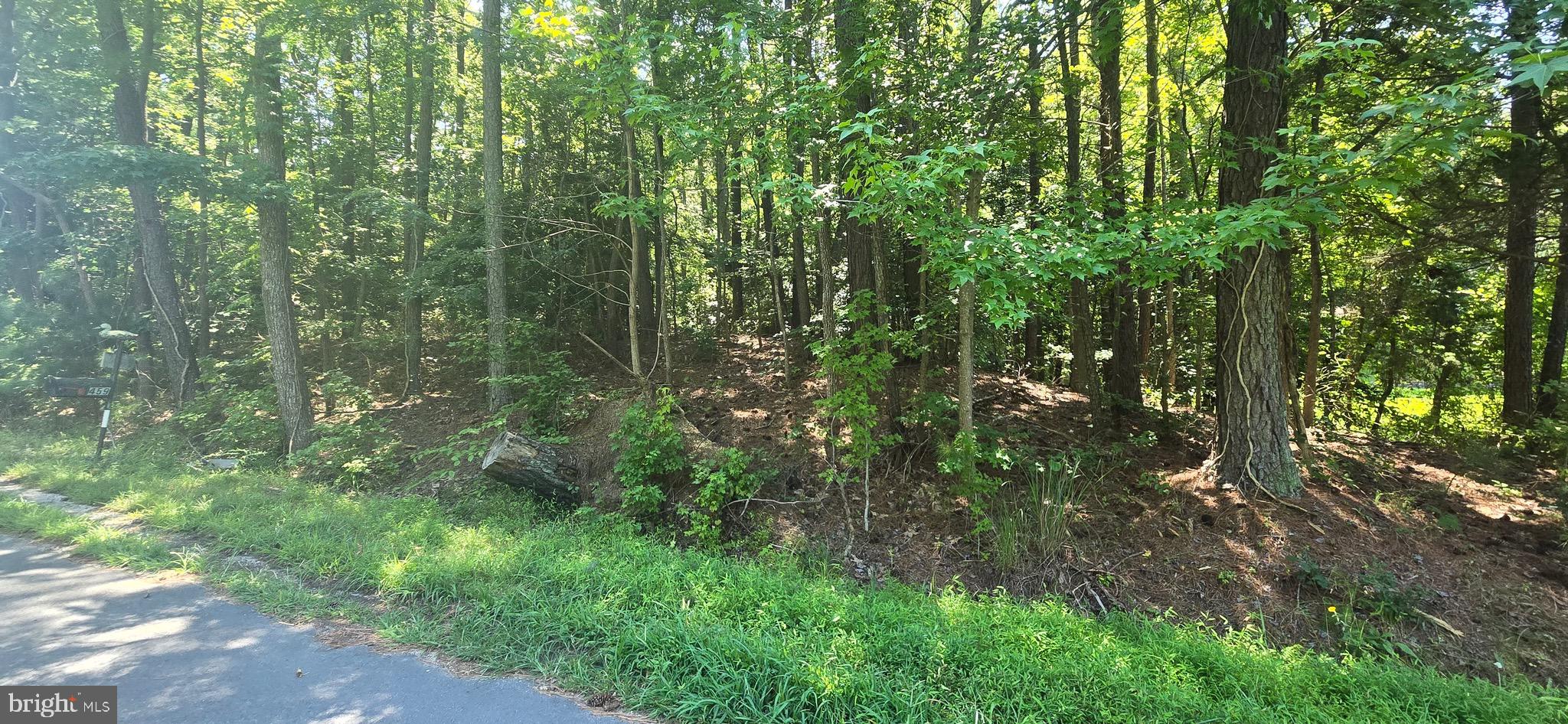 STRATFORD HARBOUR - Land