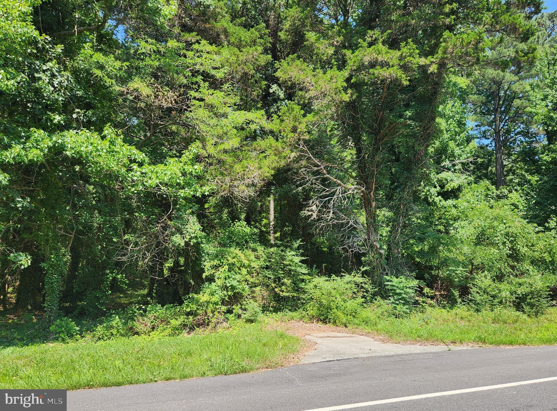 POINT LOOKOUT ROAD