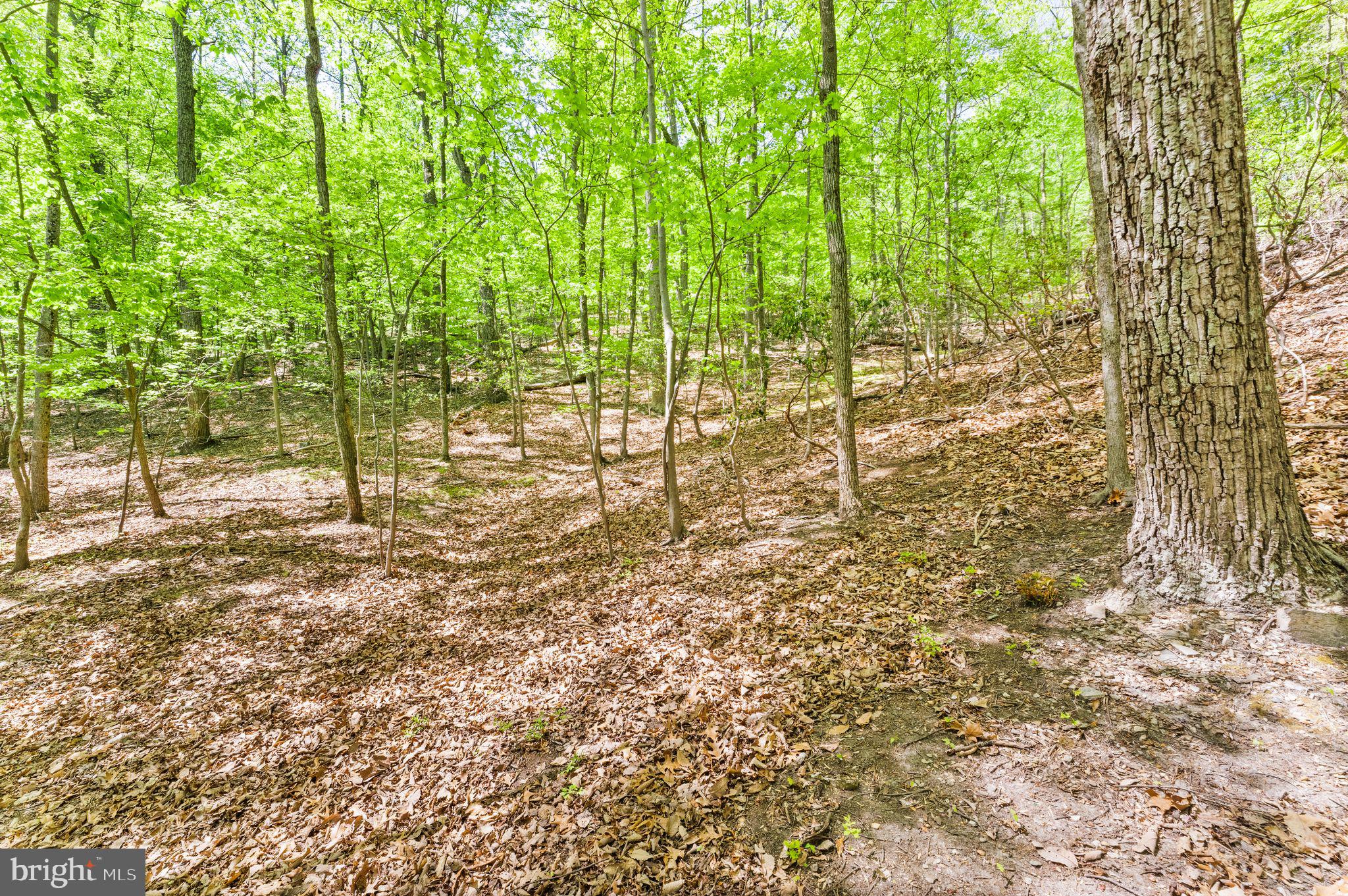 BULL RUN MOUNTAIN ESTATE - Residential Lease