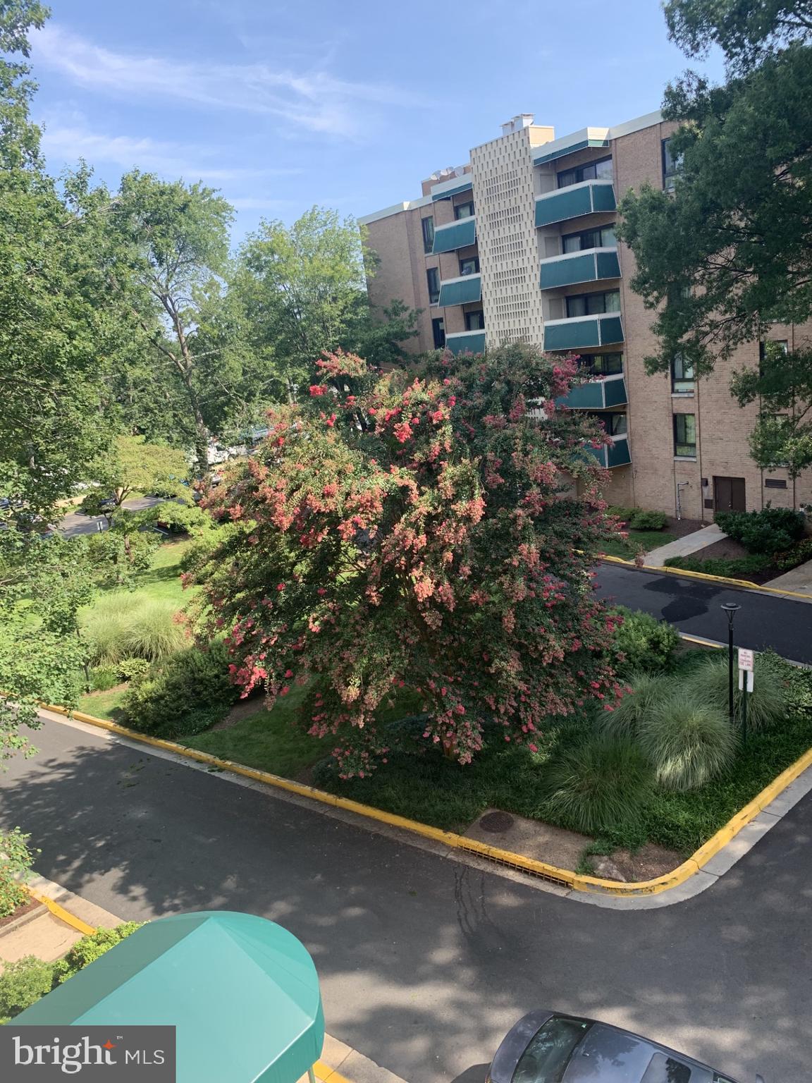 LAFAYETTE PARK CONDOMINIUM - Residential Lease