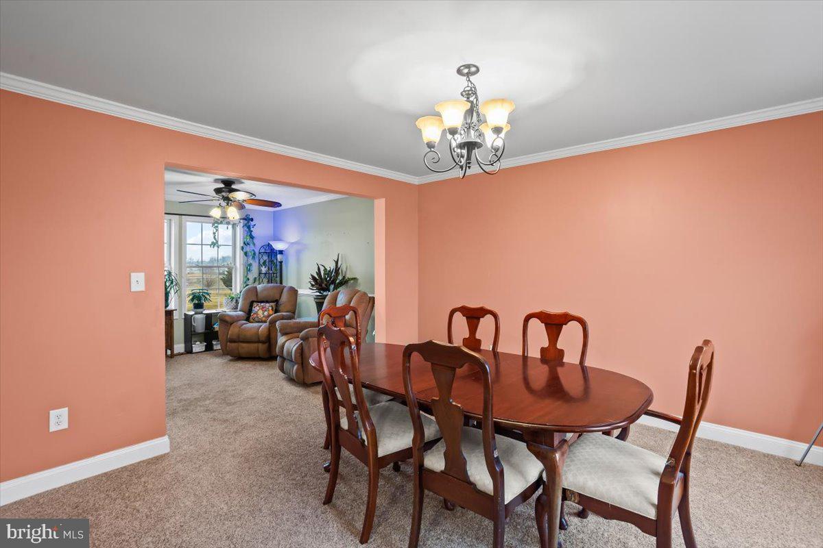 PLANK'S FIELD - Residential