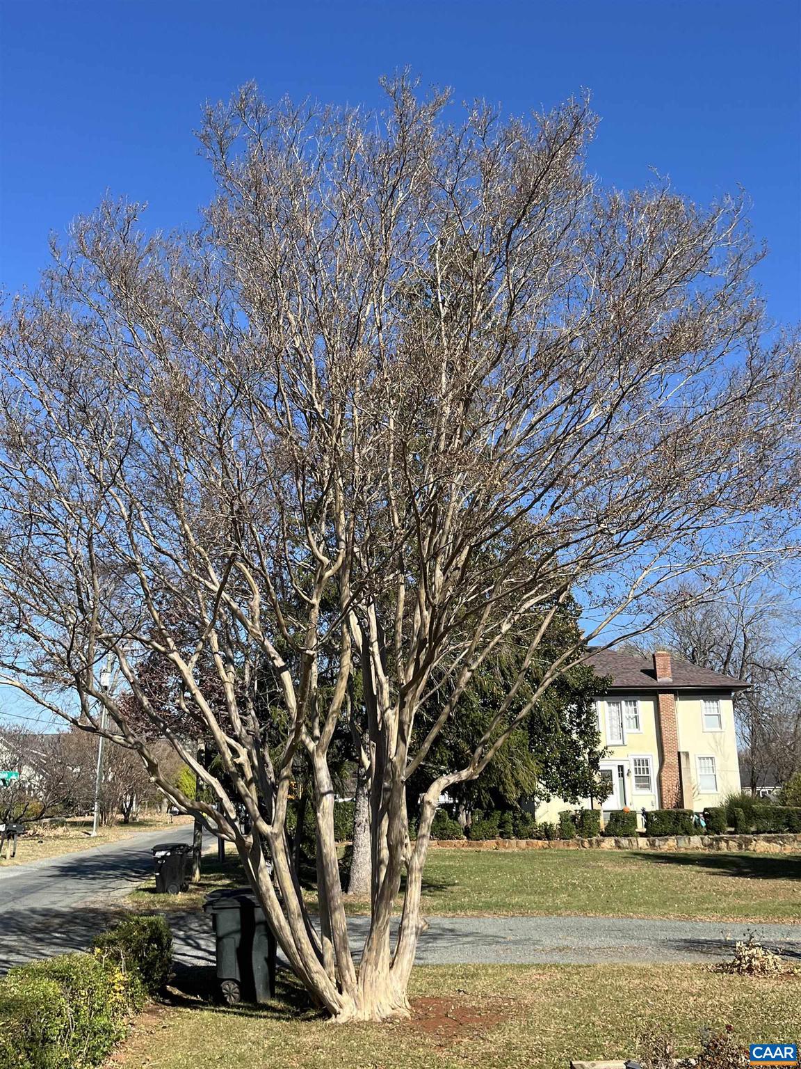 UNKNOWN - Residential Lease