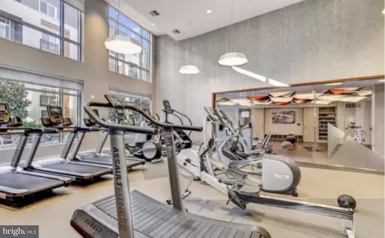 THE HAVEN - Residential Lease