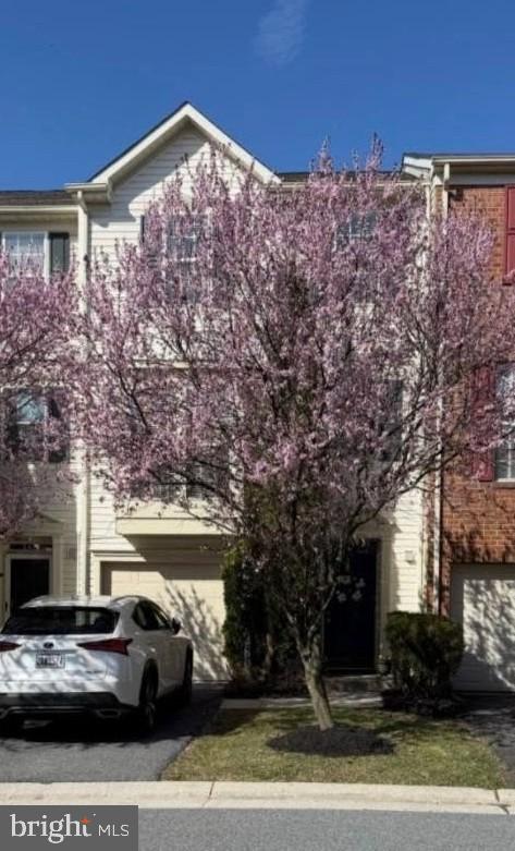 9729 MORNINGVIEW CIRCLE 9729