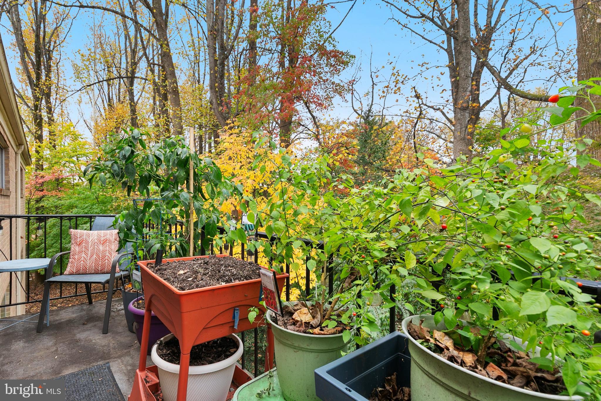 PARKSIDE CONDOMINIUMS - Residential