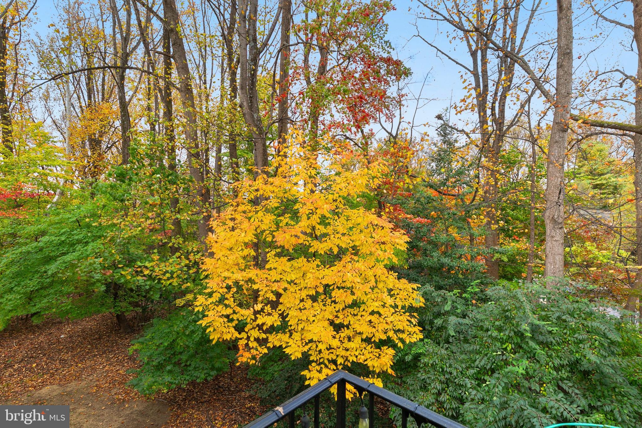 PARKSIDE CONDOMINIUMS - Residential