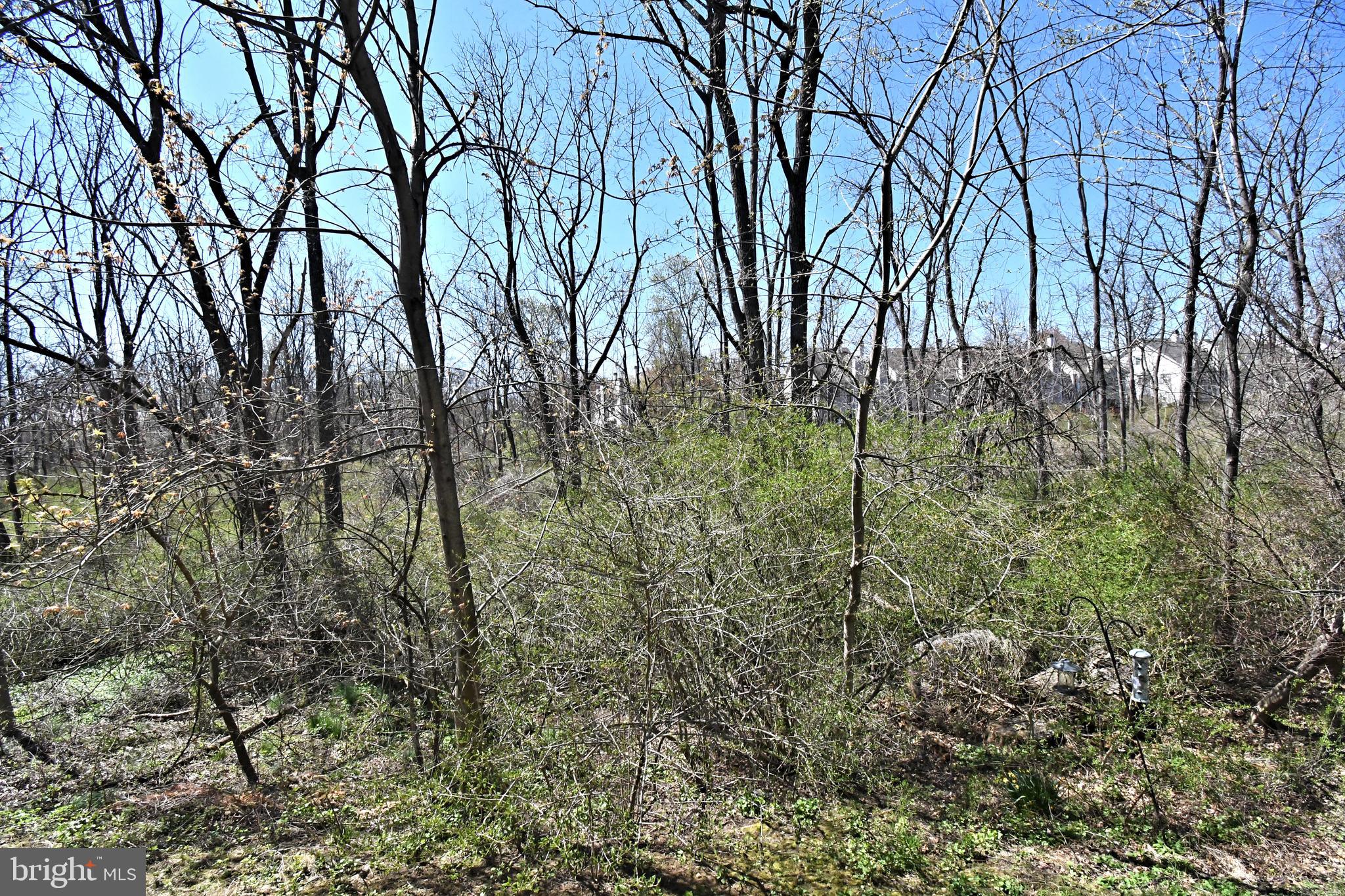 WINNERS CIRCLE - Residential